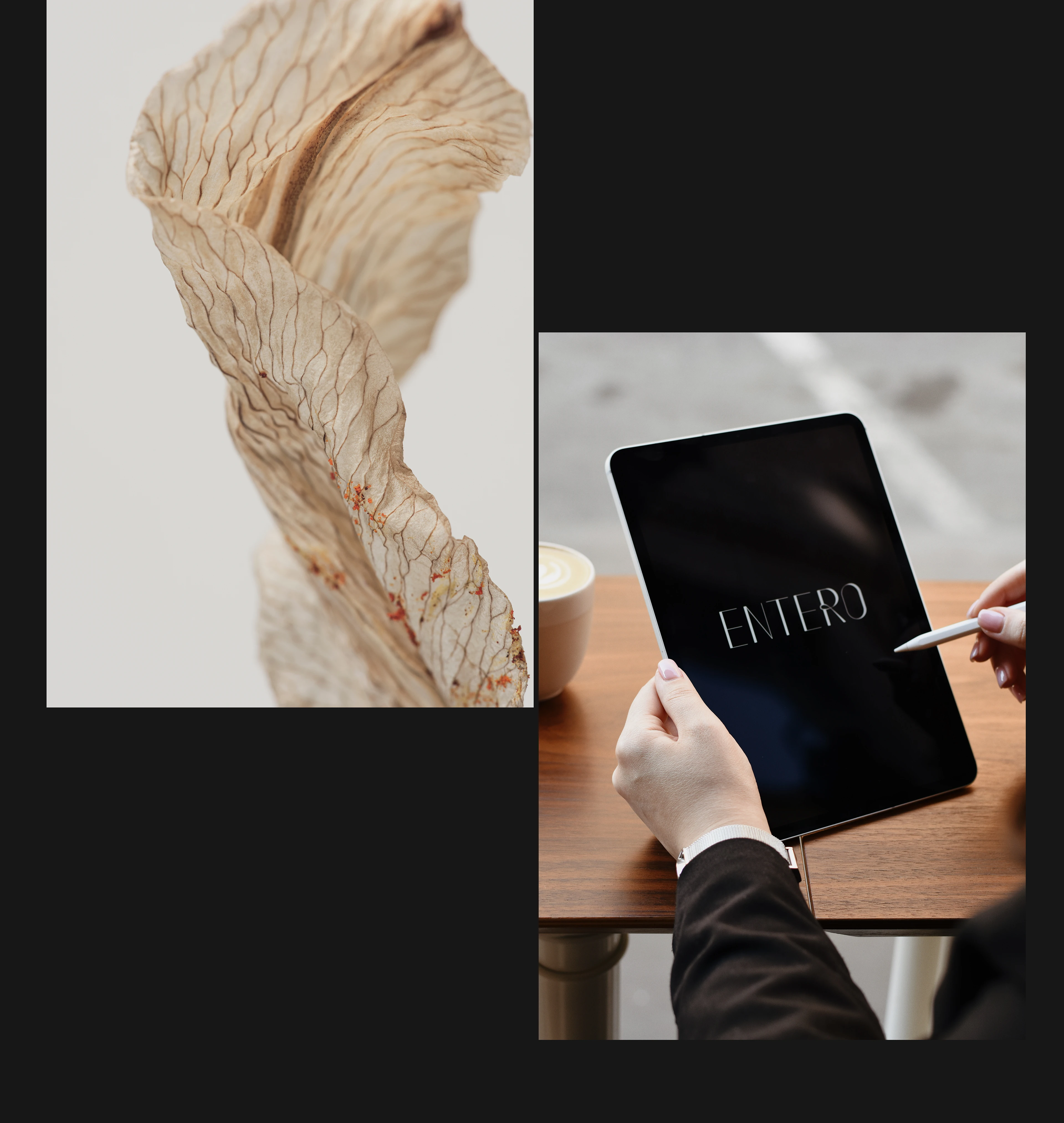 ENTERO. Website digital marketing agency — Изображение №6 — Интерфейсы, Маркетинг на Dprofile