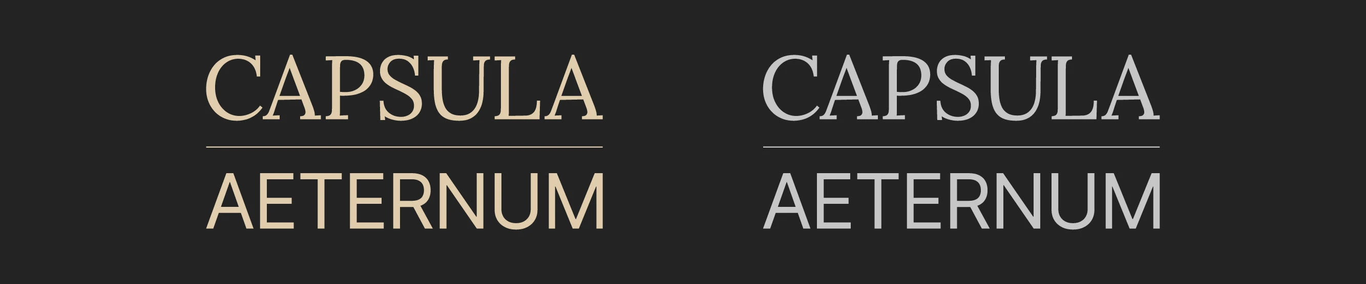 Дизайн упаковки косметического бренда CAPSULA AETERNUM — Изображение №4 — Брендинг на Dprofile
