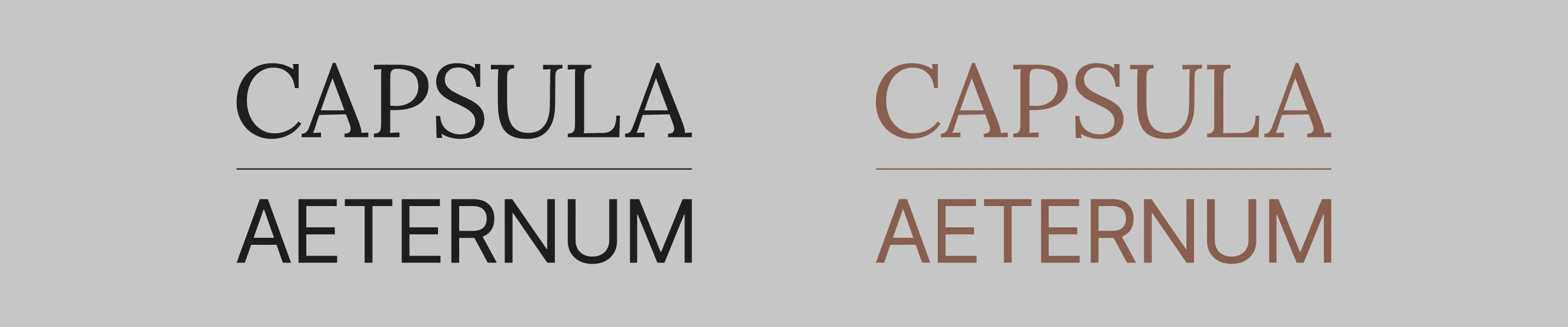 Дизайн упаковки косметического бренда CAPSULA AETERNUM — Изображение №5 — Брендинг на Dprofile
