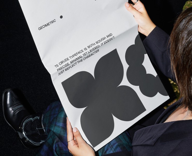 TS Crude Typeface — Графика на Dprofile