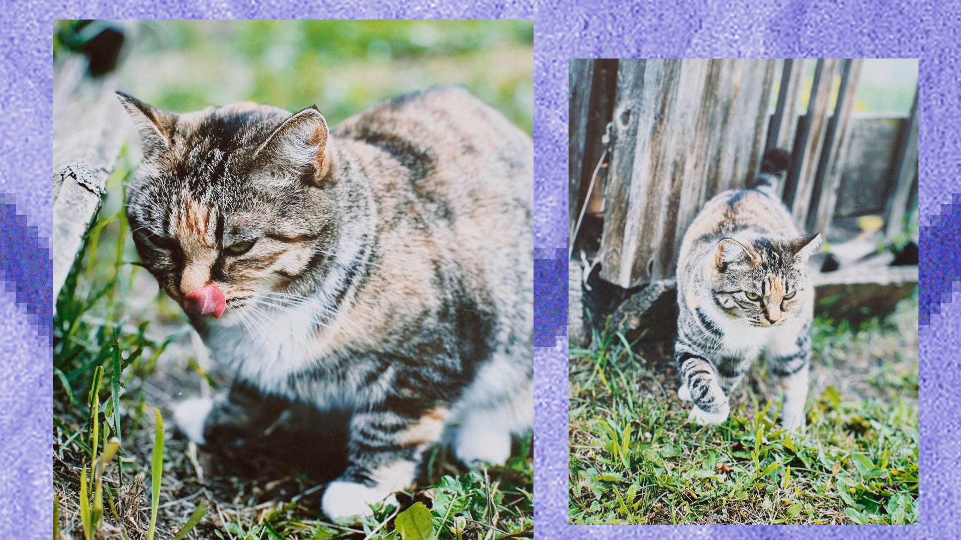 Портфолио фотографа — Изображение №13 — Графика на Dprofile