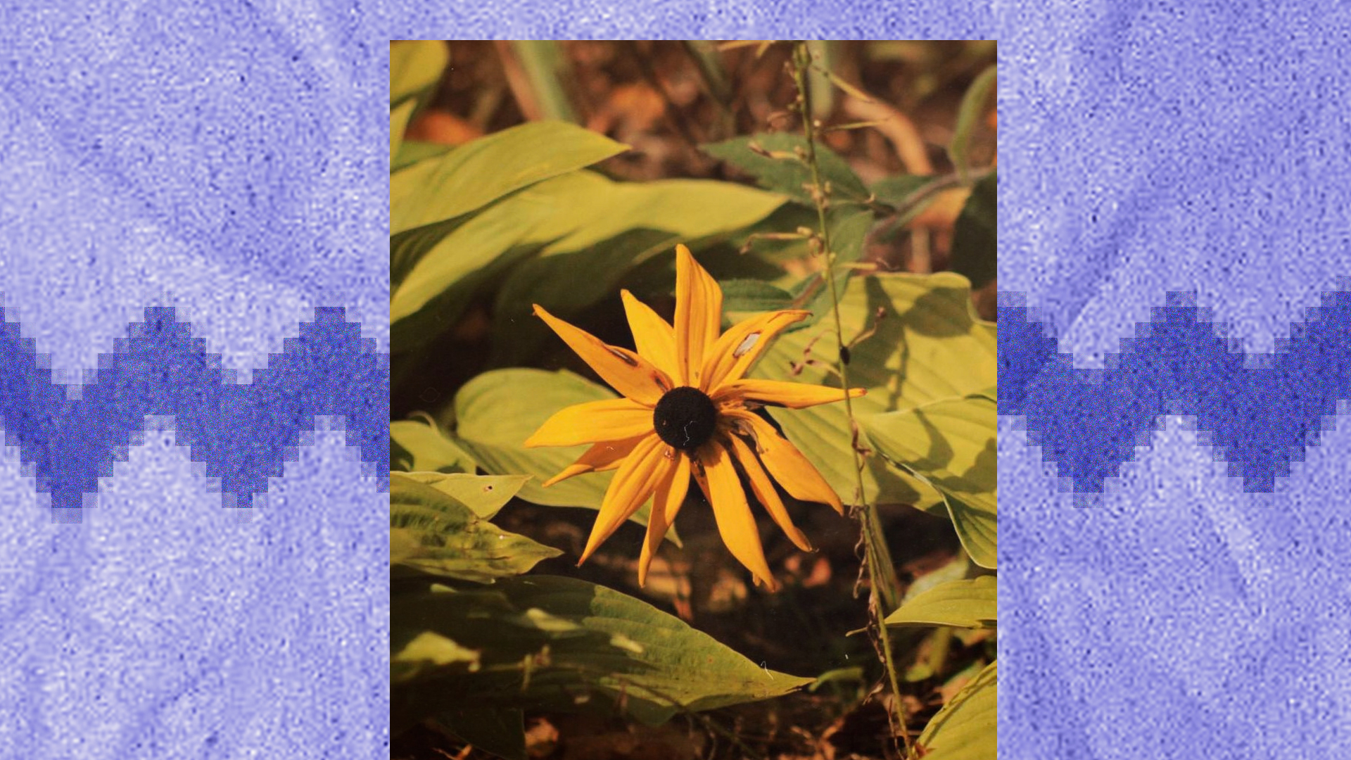 Портфолио фотографа — Изображение №8 — Графика на Dprofile