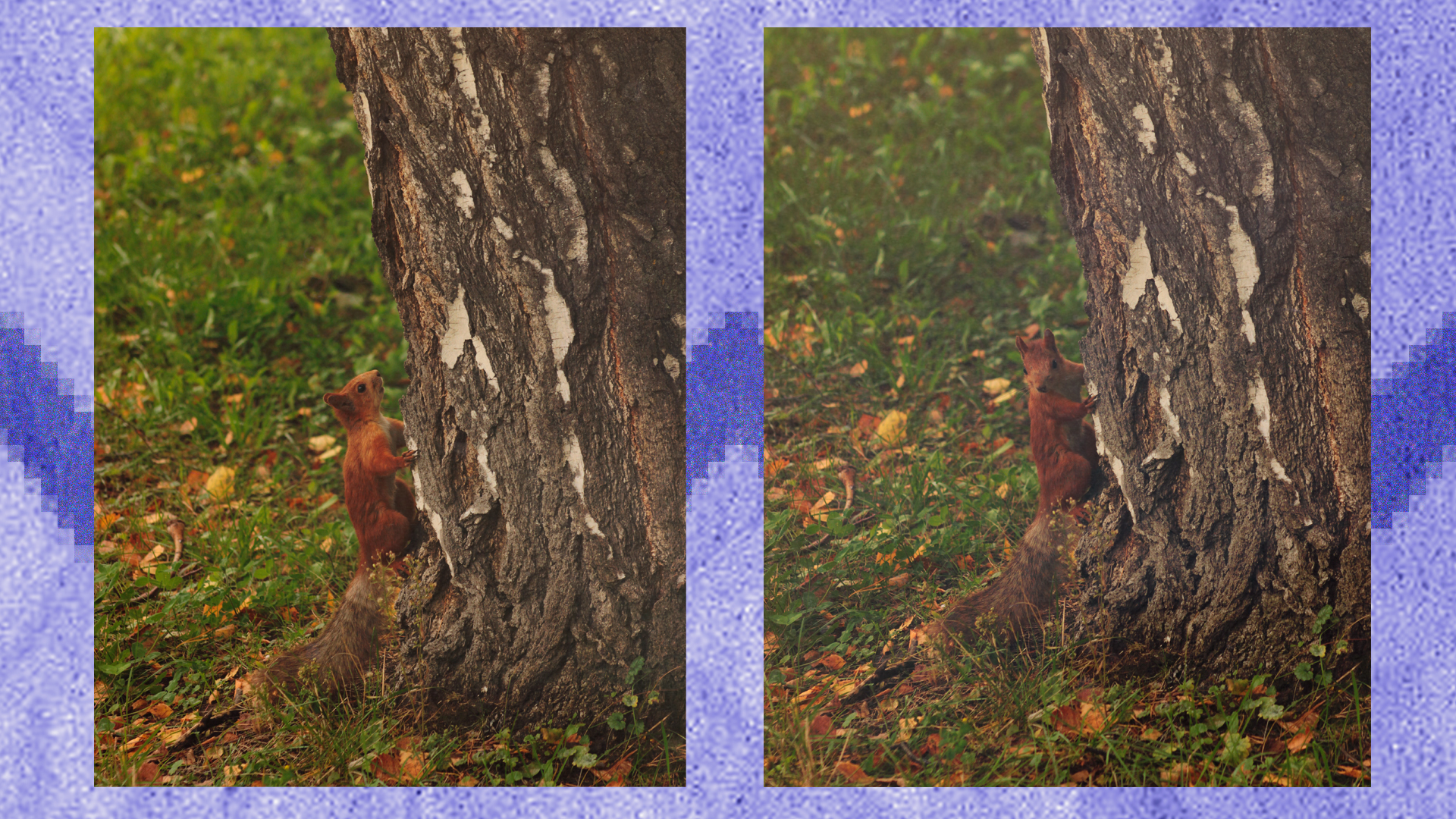 Портфолио фотографа — Изображение №12 — Графика на Dprofile