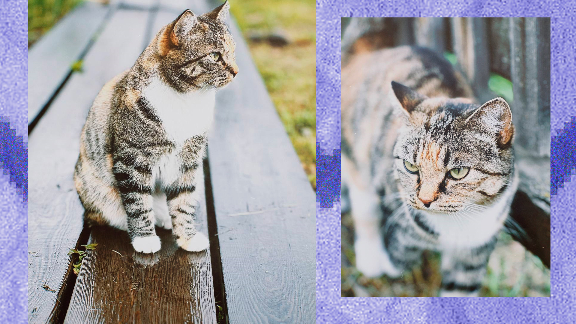 Портфолио фотографа — Изображение №11 — Графика на Dprofile