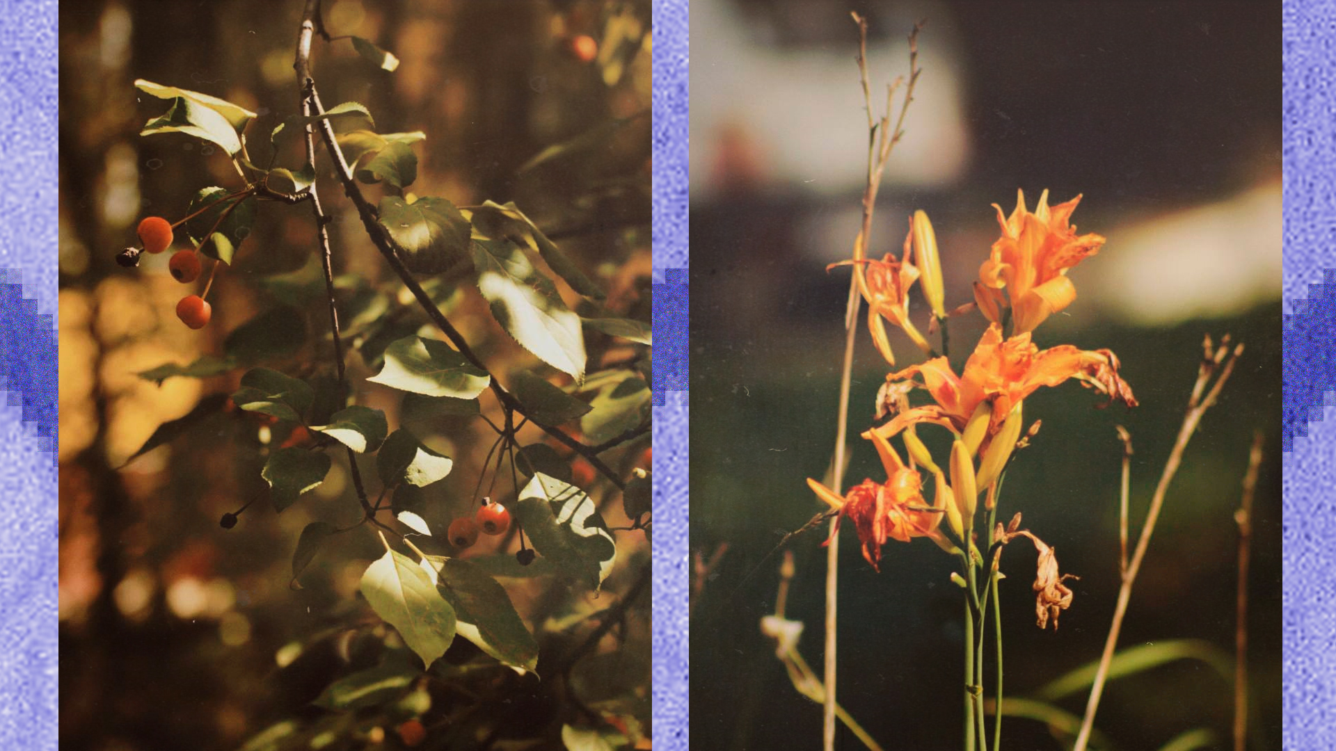 Портфолио фотографа — Изображение №7 — Графика на Dprofile