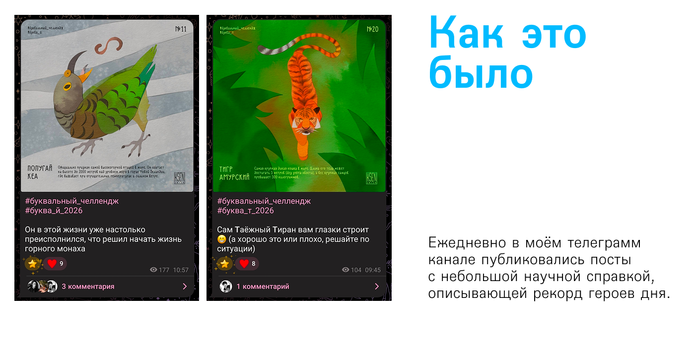 АЗБУКА самых-самых | БКВЧ 2026 — Изображение №4 — Иллюстрация, Графика на Dprofile