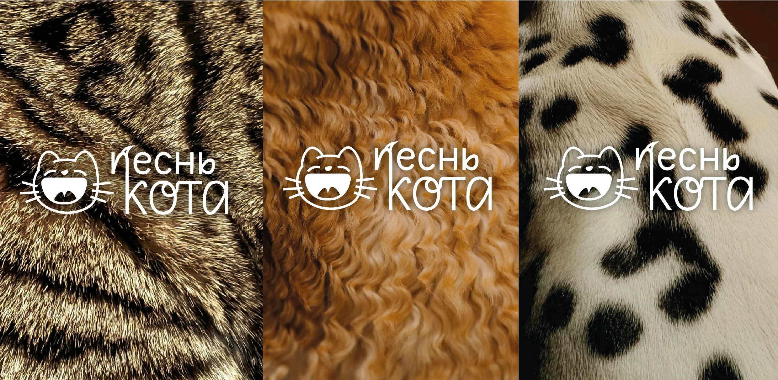 логотип груминг - салона — Изображение №4 — Брендинг, Графика на Dprofile