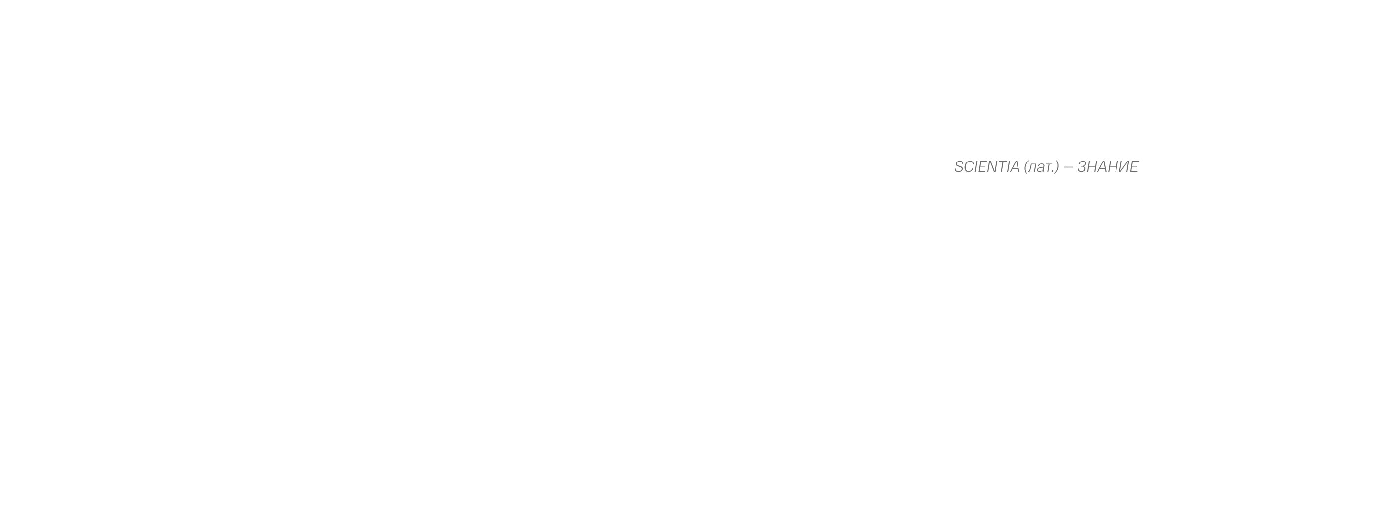 Скиентия. Разработчик в области горной геомеханики — Изображение №2 — Брендинг, Графика на Dprofile