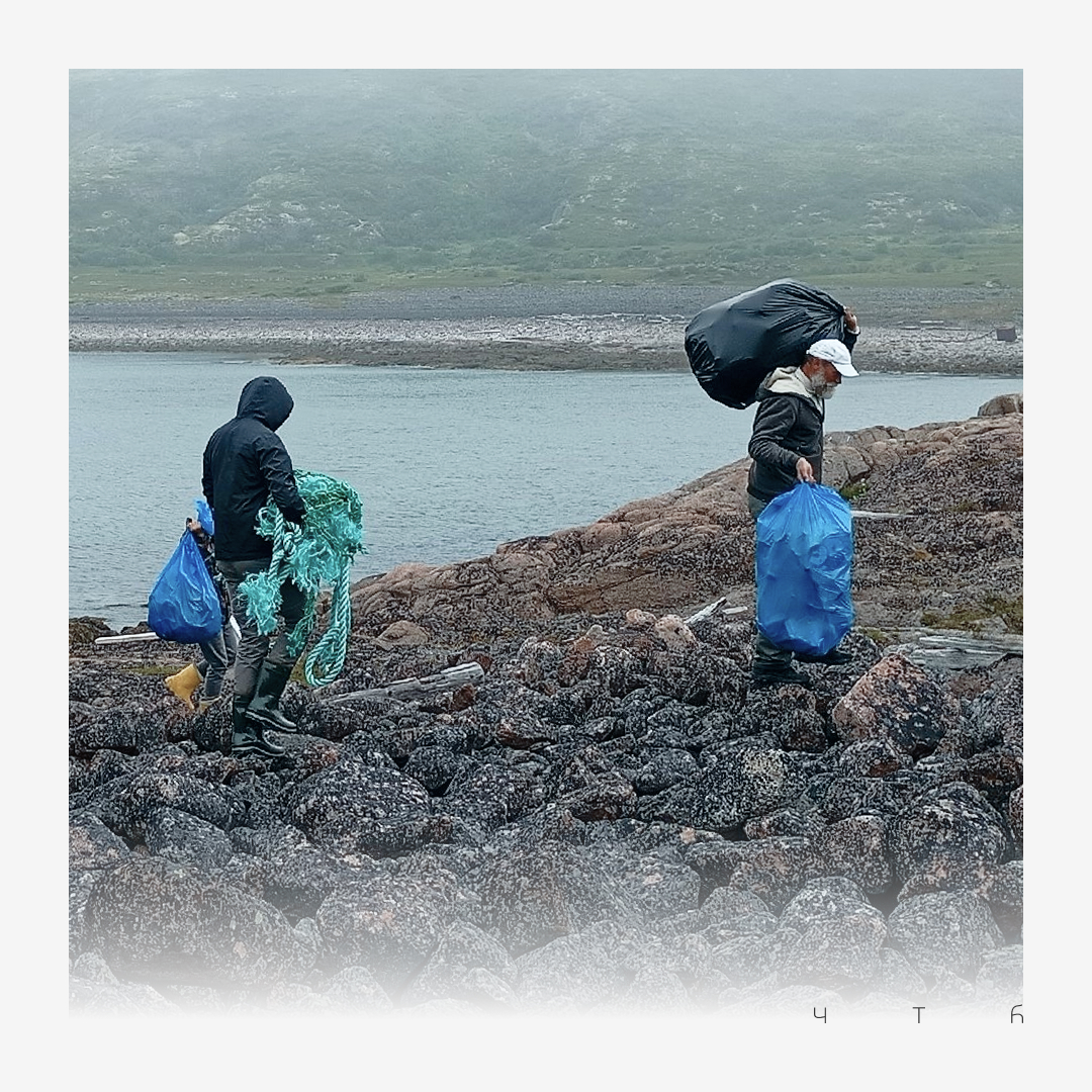 Чистый Териберкский берег — Изображение №3 — Брендинг на Dprofile