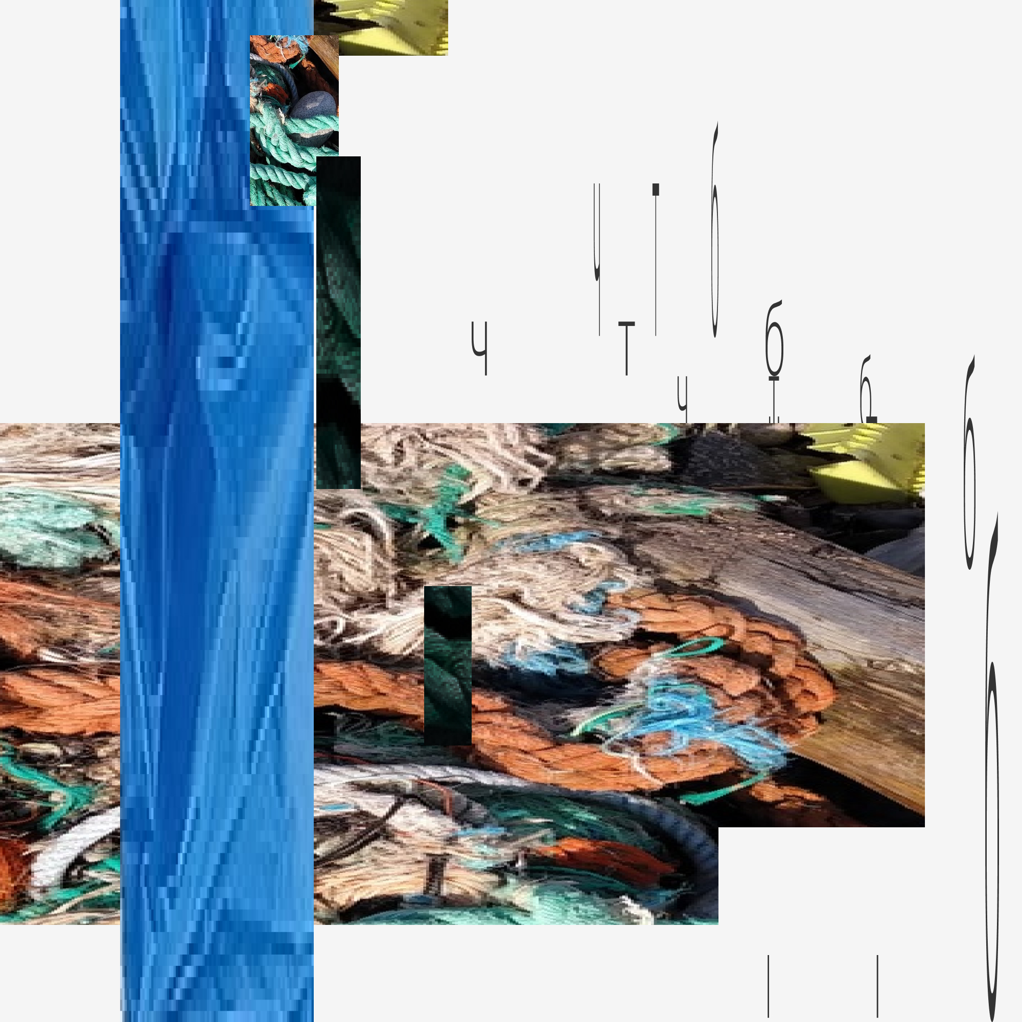 Чистый Териберкский берег — Изображение №9 — Брендинг на Dprofile