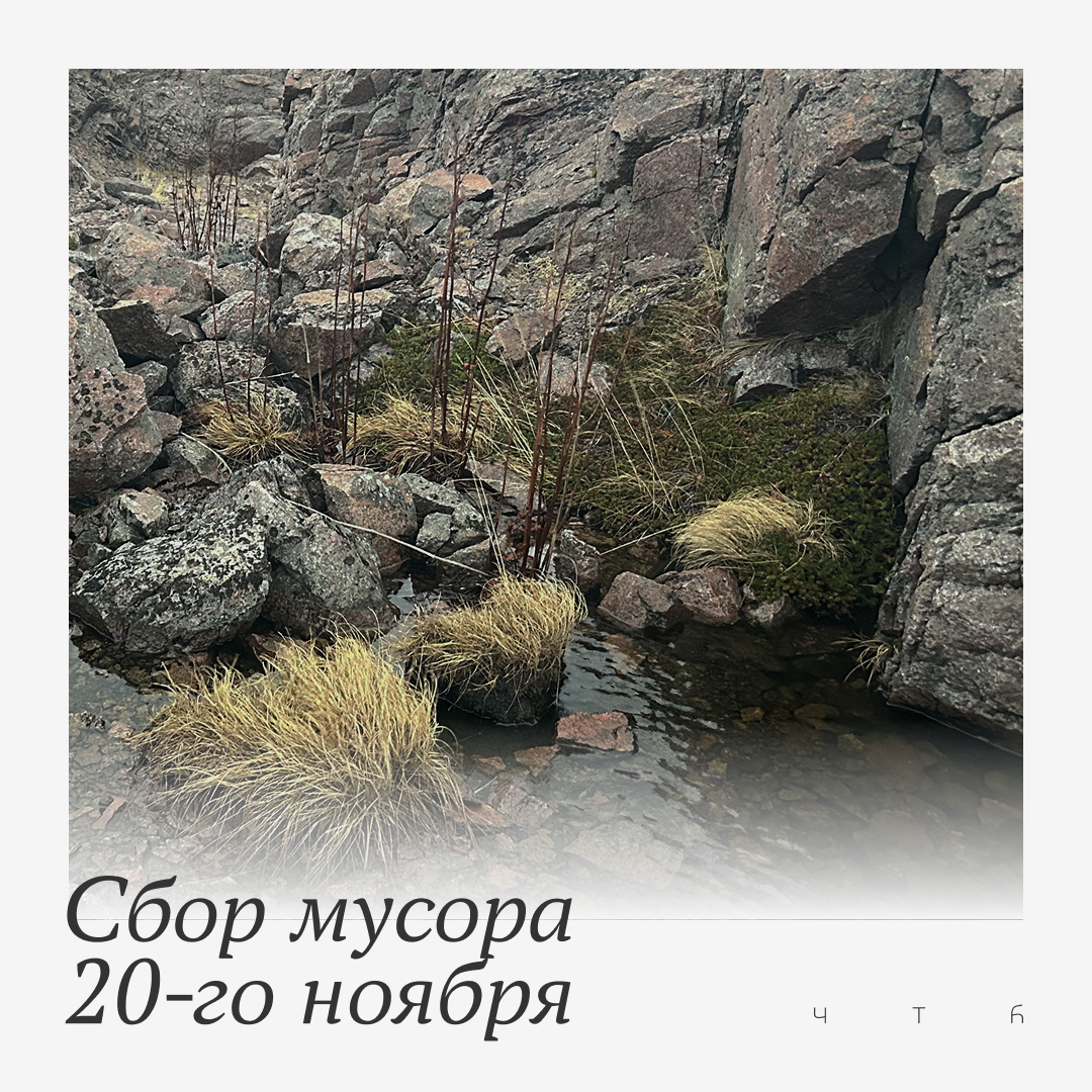 Чистый Териберкский берег — Изображение №4 — Брендинг на Dprofile