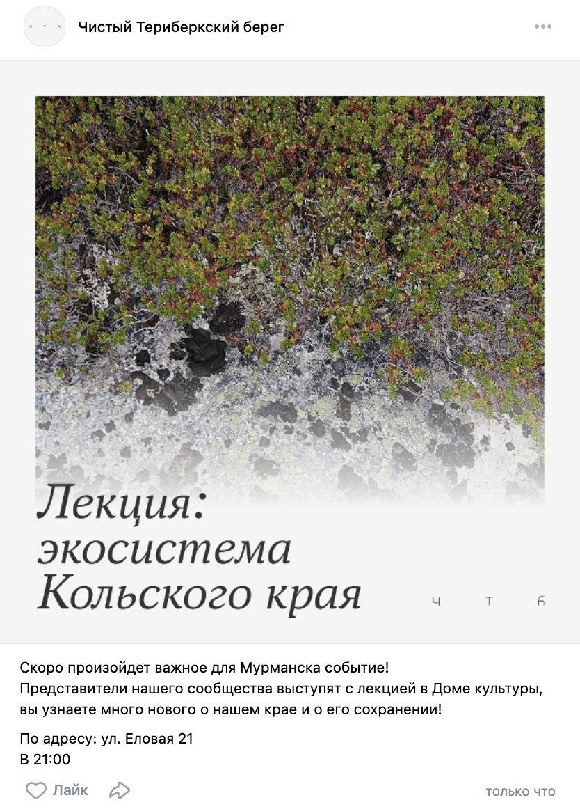 Чистый Териберкский берег — Изображение №6 — Брендинг на Dprofile