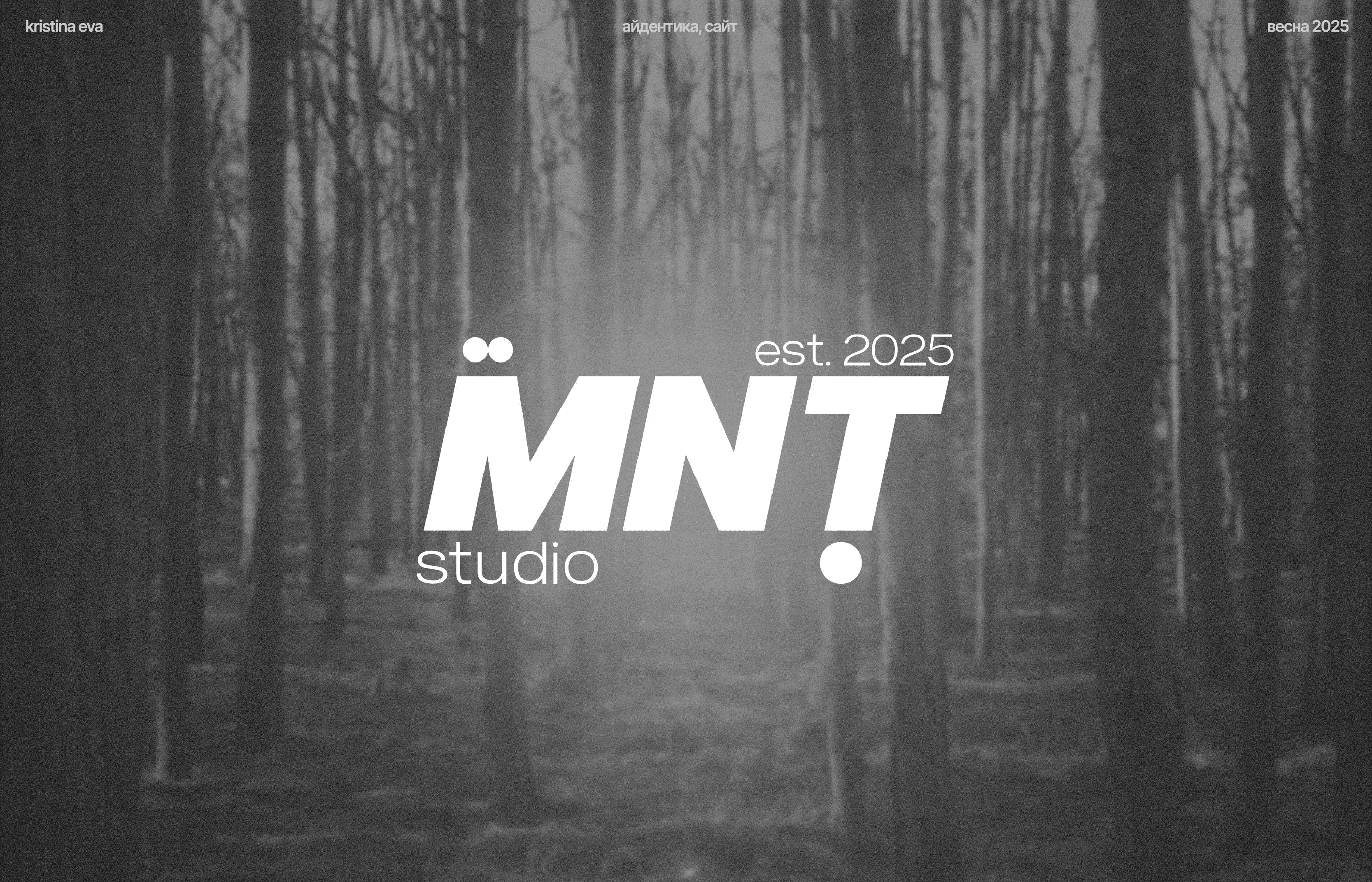 MNT студия видеопродакшена I айдентика, сайт — Изображение №1 — Интерфейсы, Брендинг на Dprofile