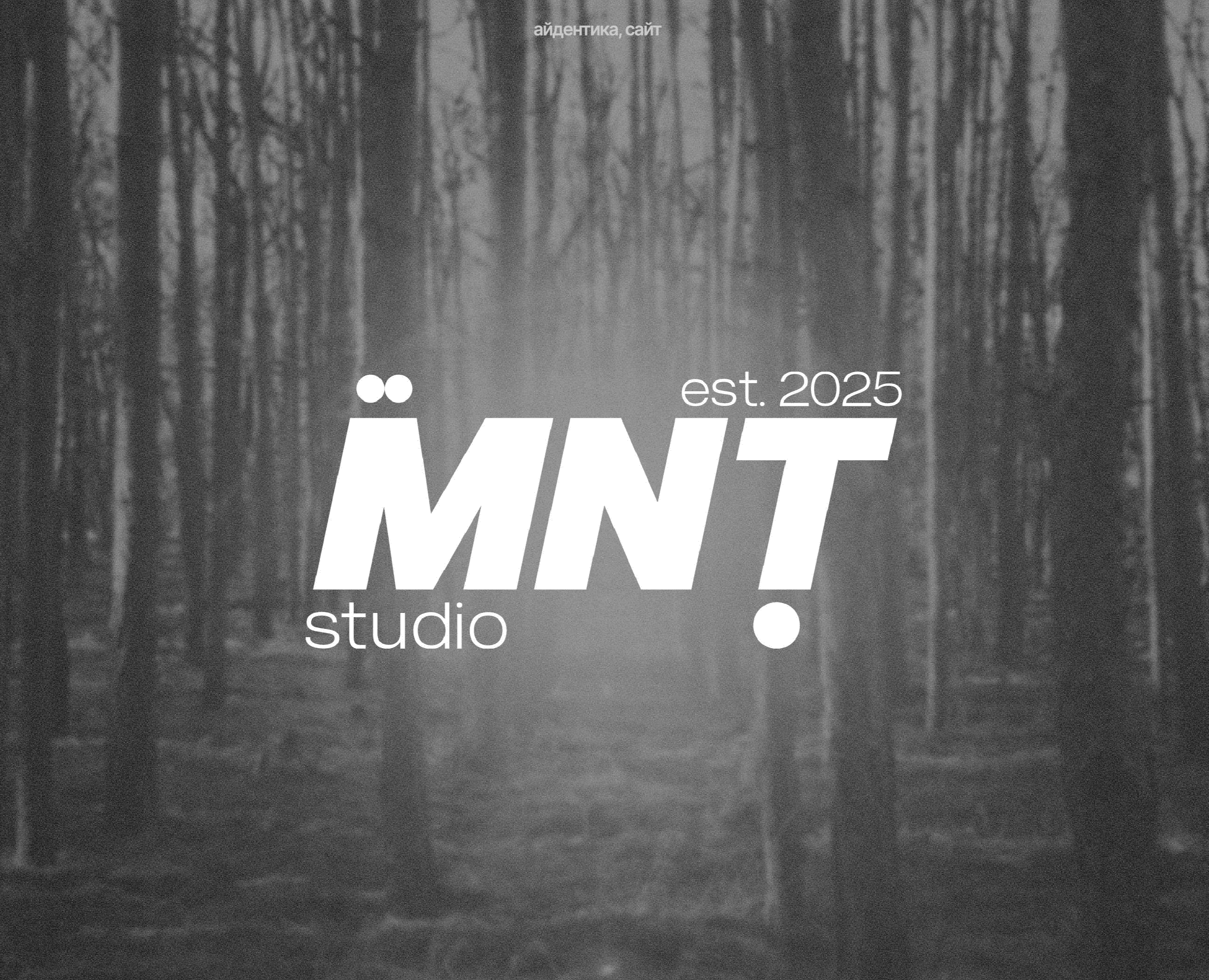 MNT студия видеопродакшена I айдентика, сайт на Dprofile