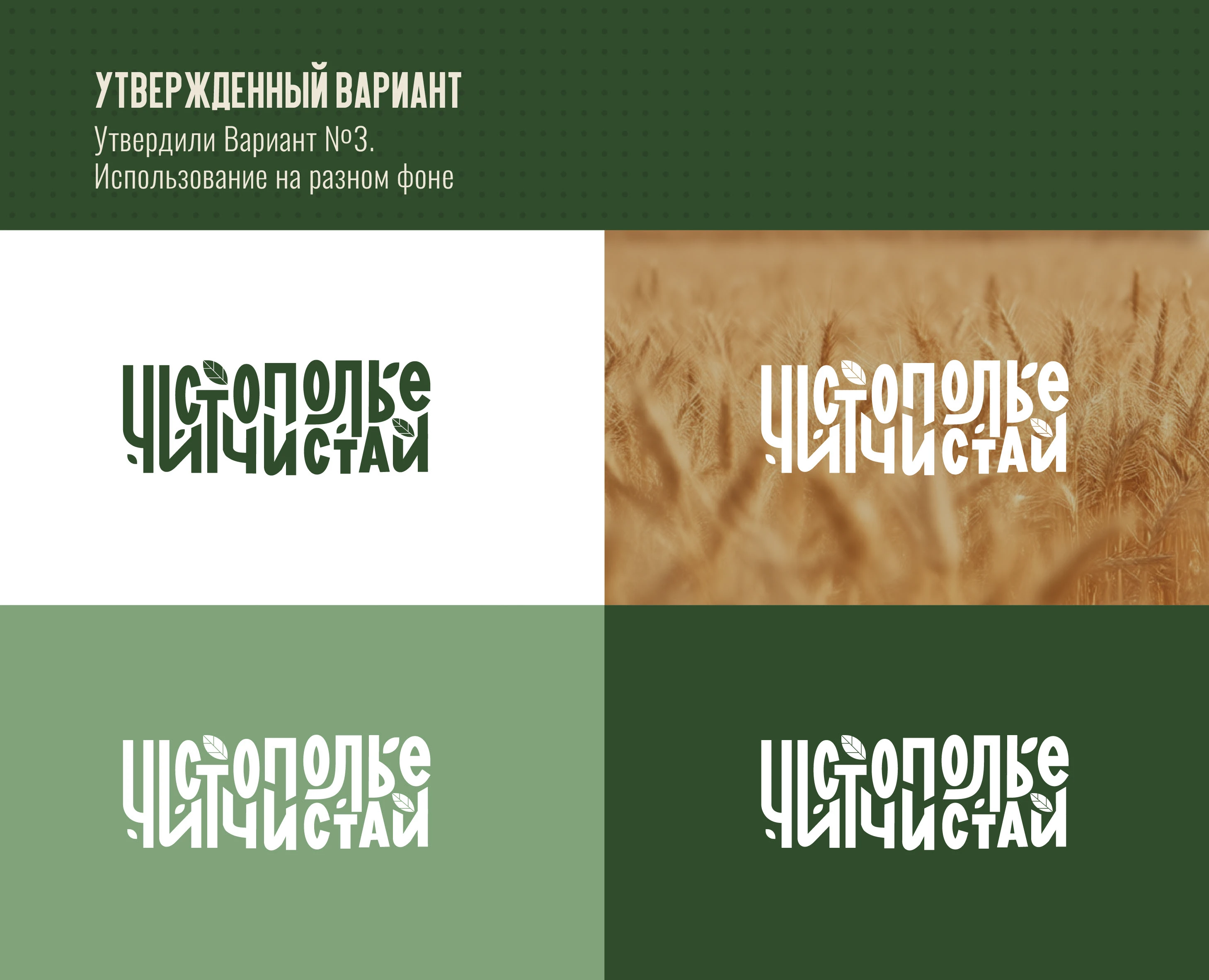 Разработка товарного знака Чистополье-Чистай — Изображение №4 — Брендинг, Графика на Dprofile