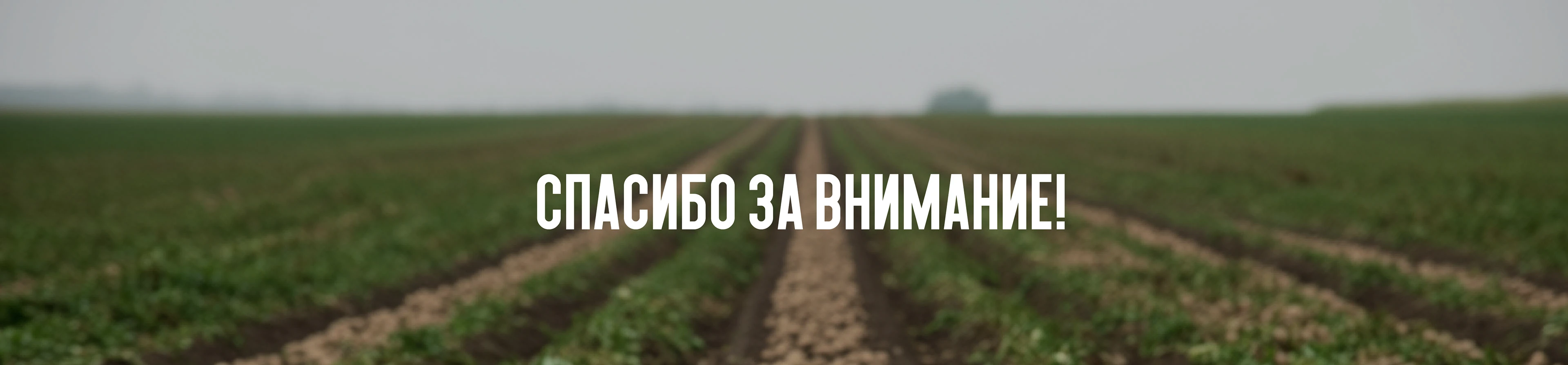 Разработка товарного знака Чистополье-Чистай — Изображение №7 — Брендинг, Графика на Dprofile