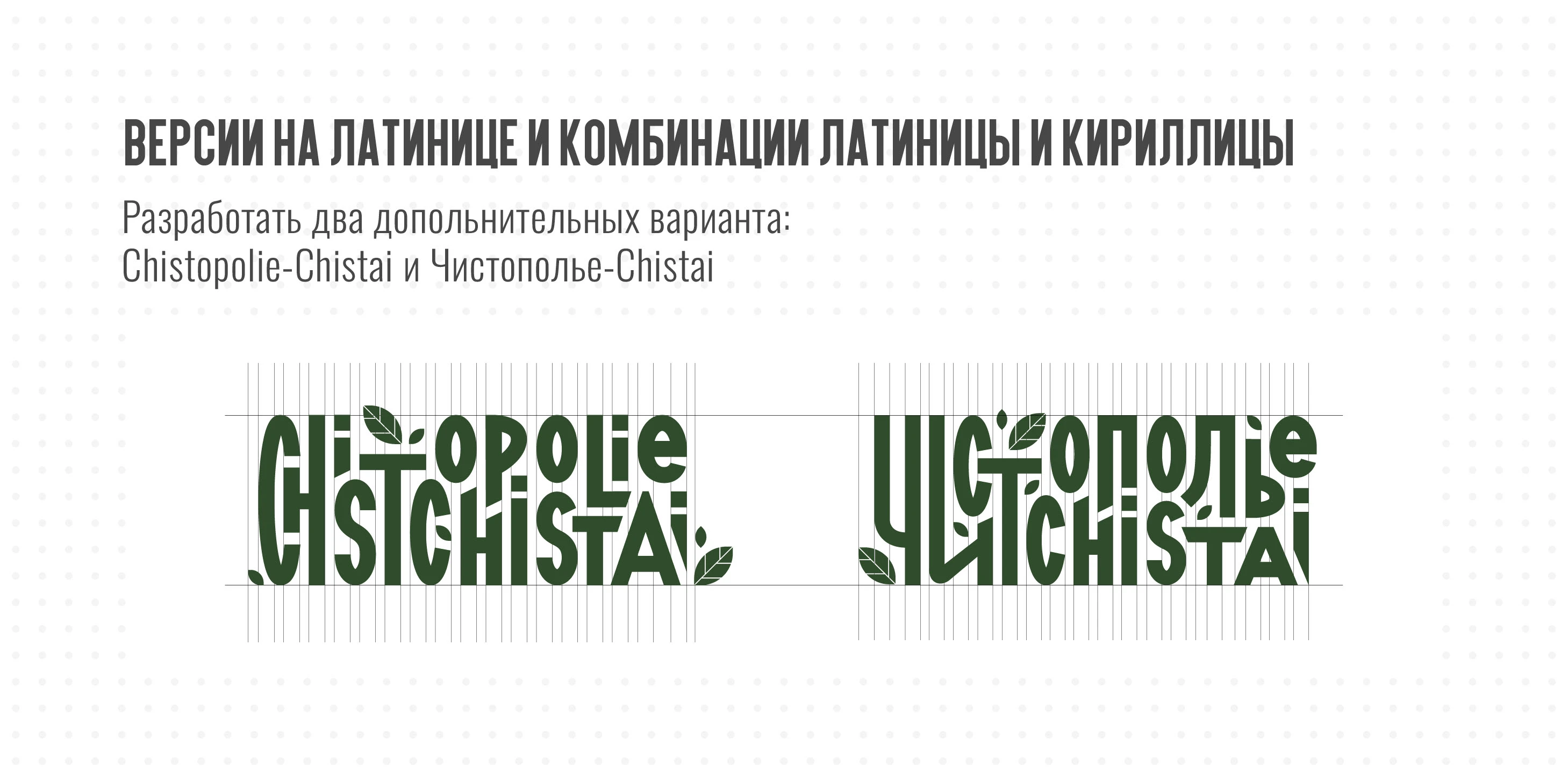 Разработка товарного знака Чистополье-Чистай — Изображение №5 — Брендинг, Графика на Dprofile