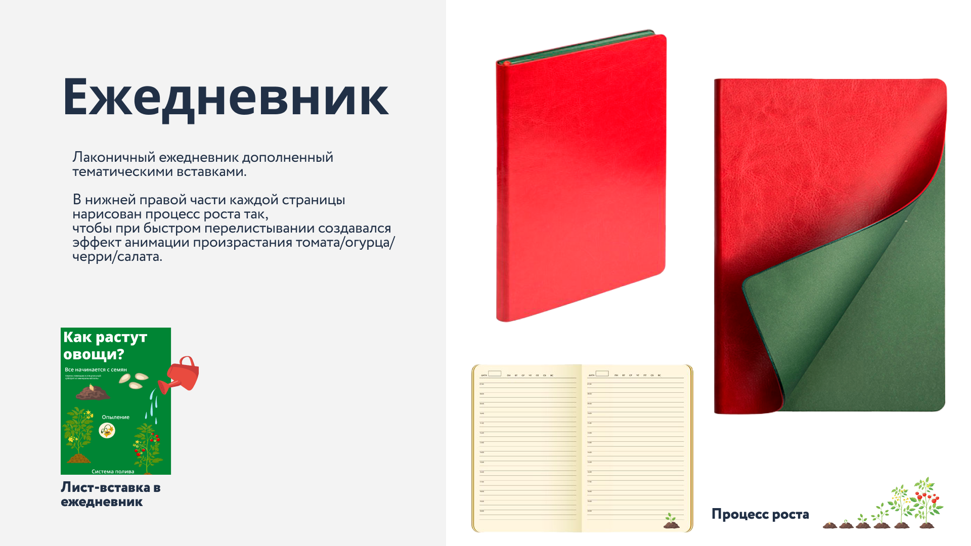 Главное в простом. Мерч для для сотрудников агрохолдинга — Изображение №4 — Брендинг на Dprofile