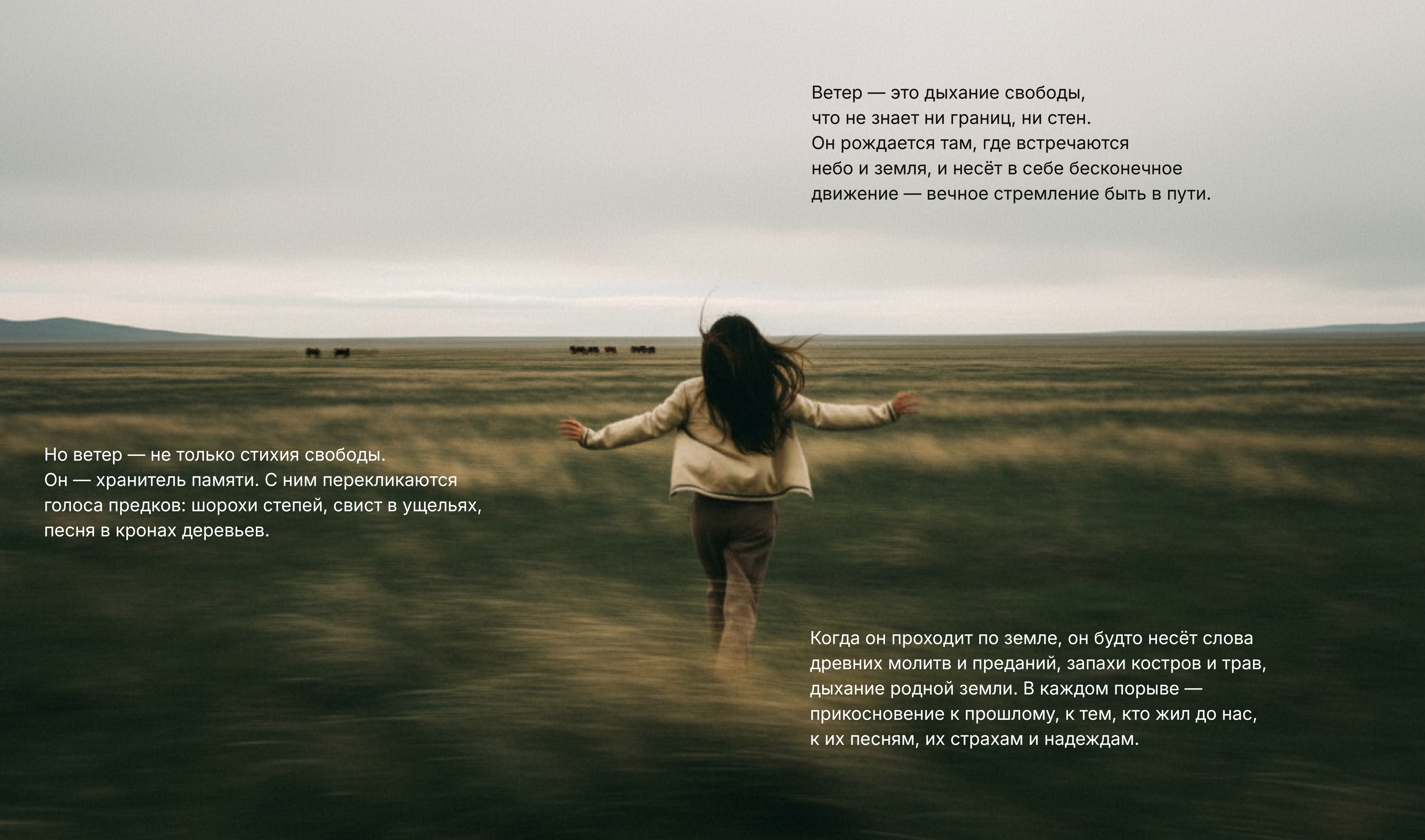 Фирменный стиль для этно-маркета — Изображение №3 — Брендинг на Dprofile