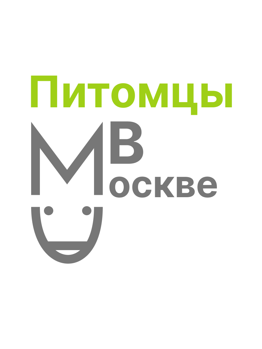 Забавные животные — Изображение №6 — Брендинг на Dprofile