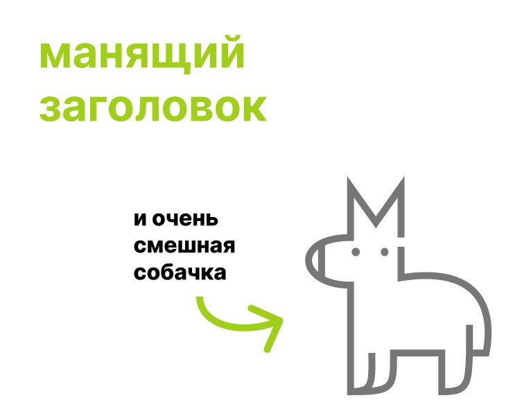 Забавные животные — Брендинг на Dprofile