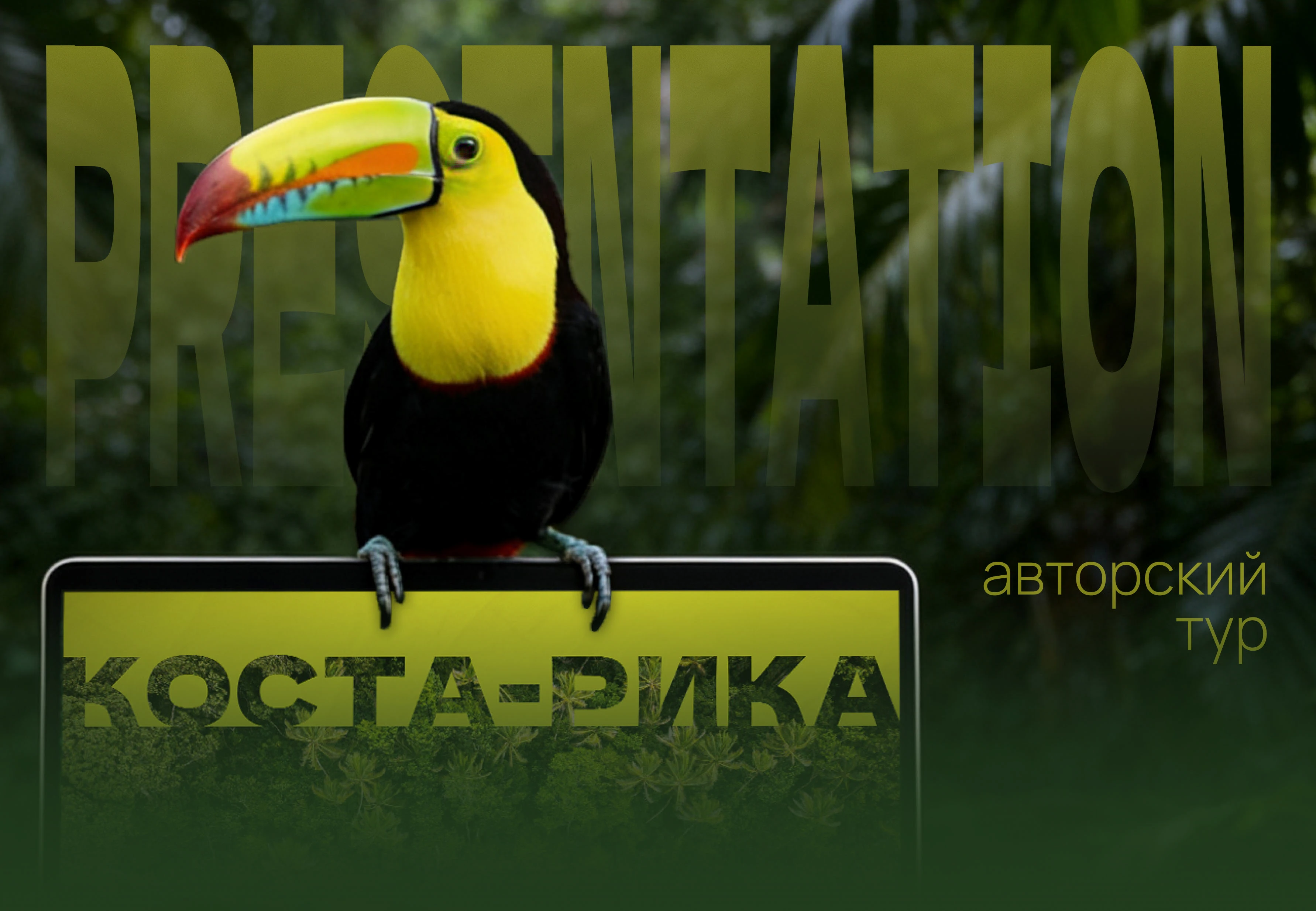 Презентация | Авторский тур — Изображение №1 — Графика, Маркетинг на Dprofile