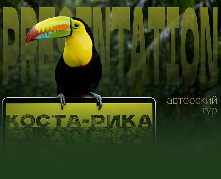 Презентация | Авторский тур — Графика, Маркетинг на Dprofile