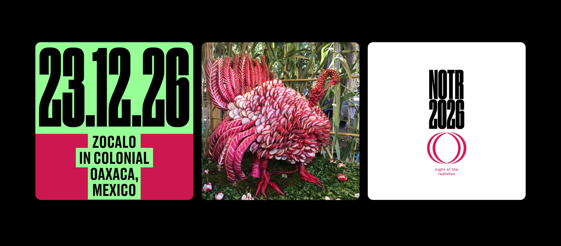 Night of the Radishes: фестиваль редиски — Изображение №8 — Брендинг на Dprofile