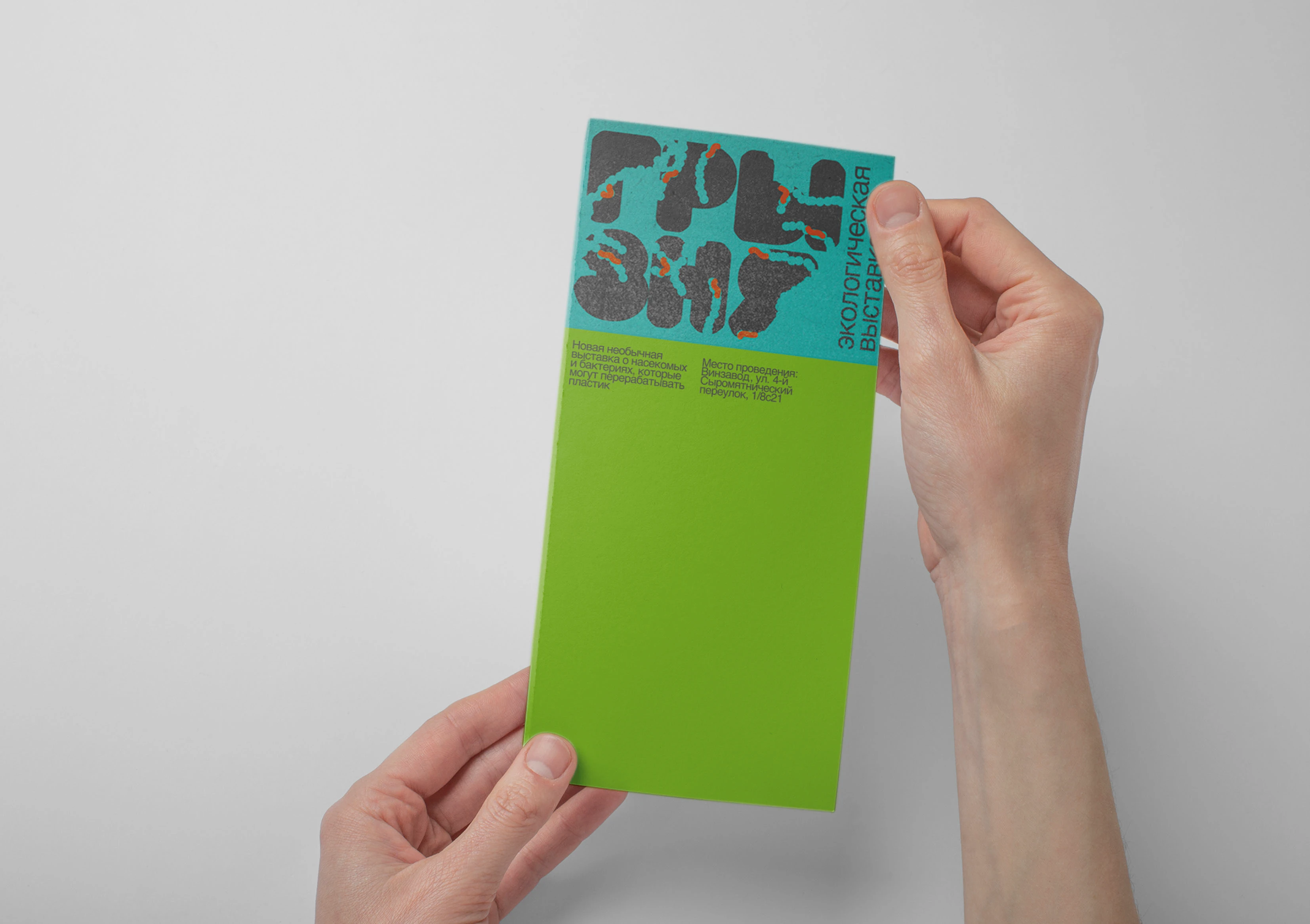 ГРЫЗНЯ — Изображение №5 — Брендинг, Графика на Dprofile