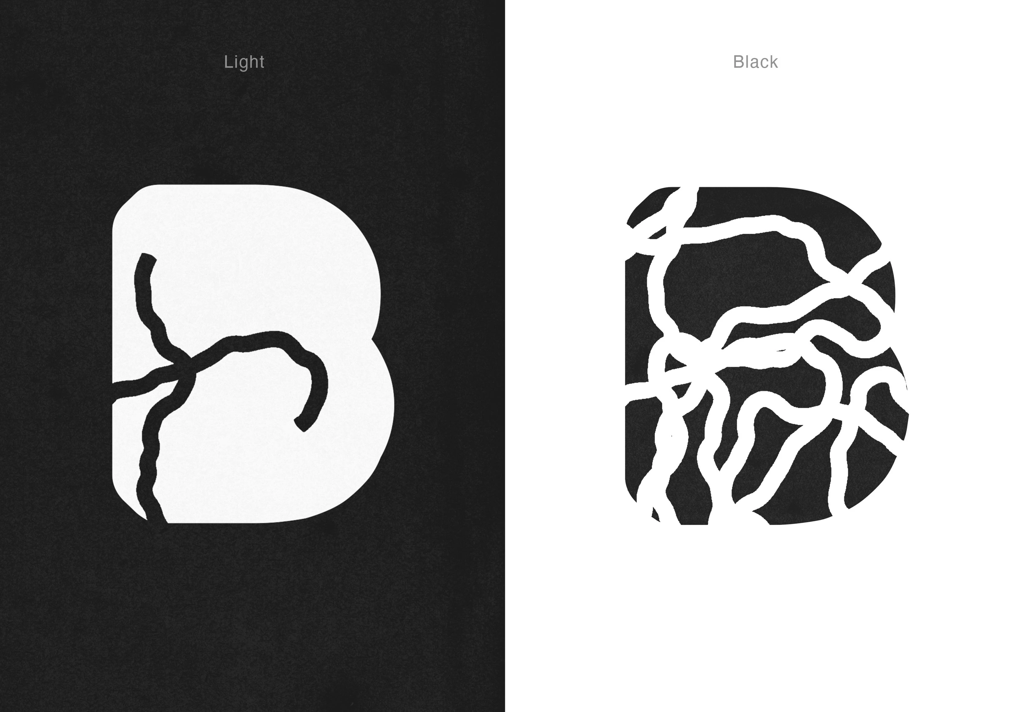 INSECT TYPE — Изображение №10 — Графика на Dprofile