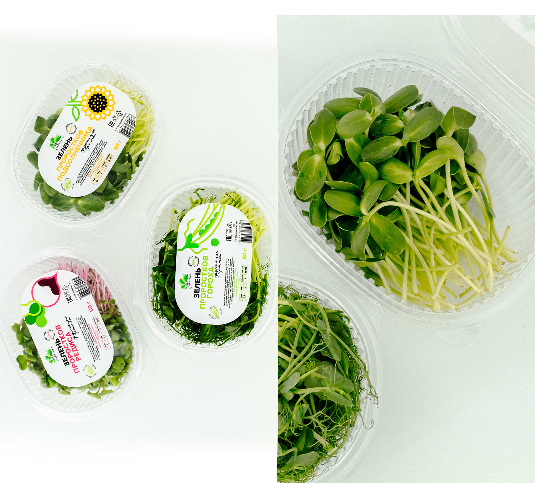 Разработка этикеток для зелени — Изображение №9 — Брендинг, Графика на Dprofile