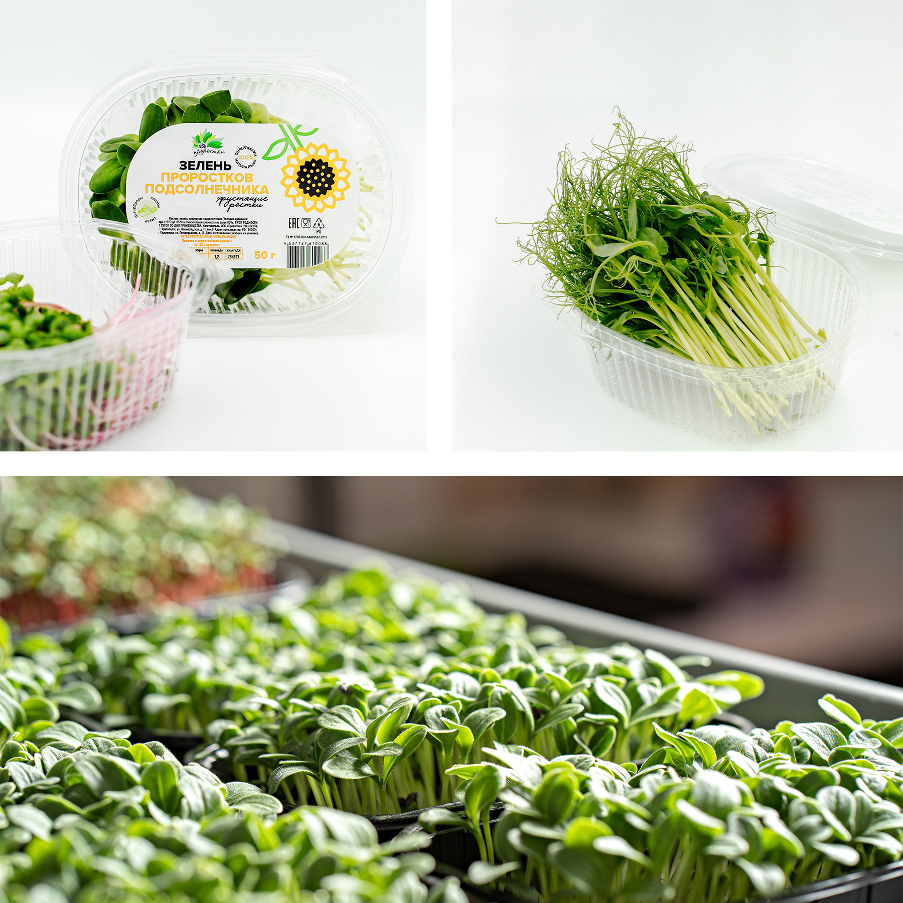 Разработка этикеток для зелени — Изображение №2 — Брендинг, Графика на Dprofile