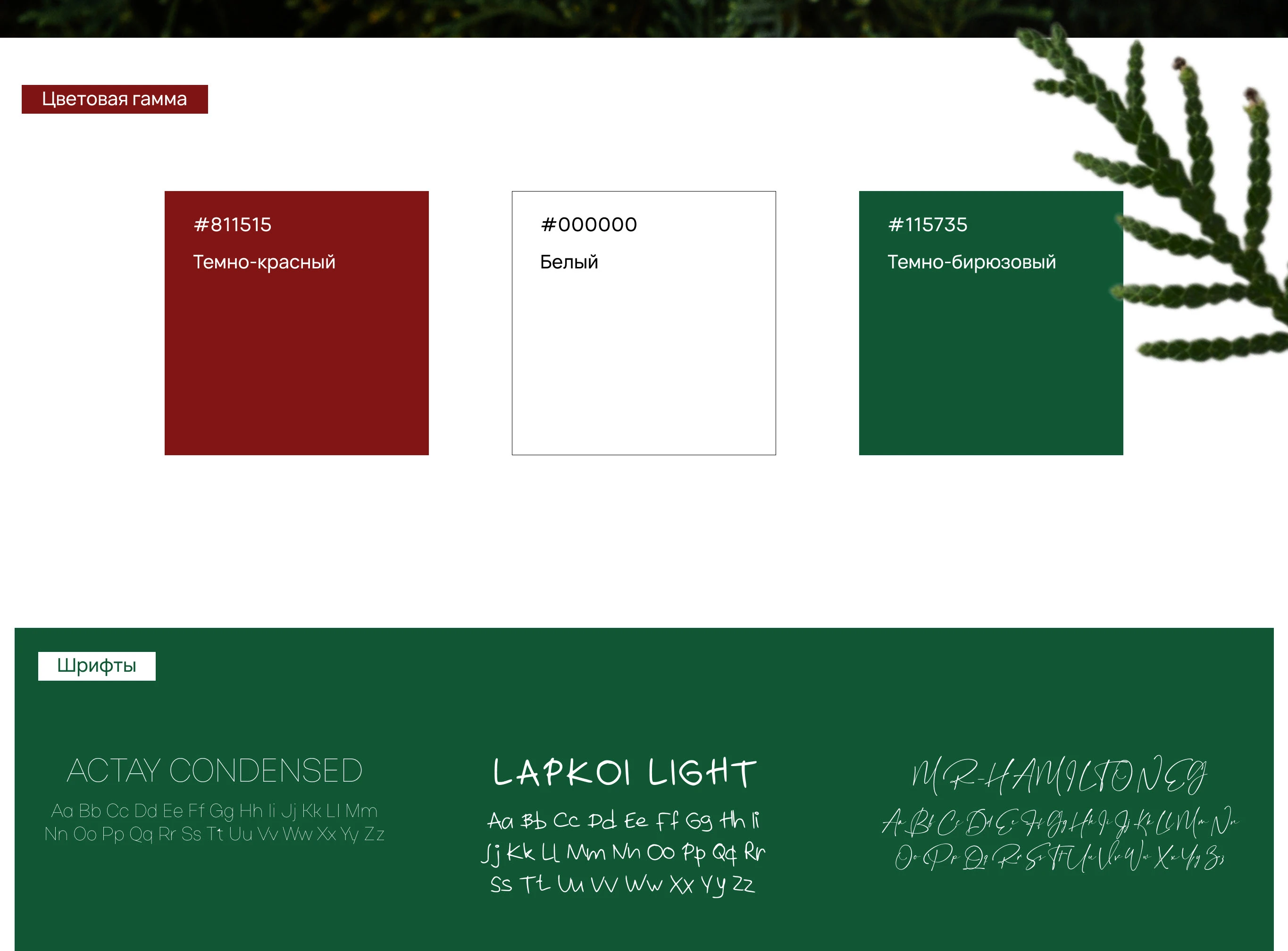 Новогодний подарочный сертификат — Изображение №3 — Брендинг, Маркетинг на Dprofile