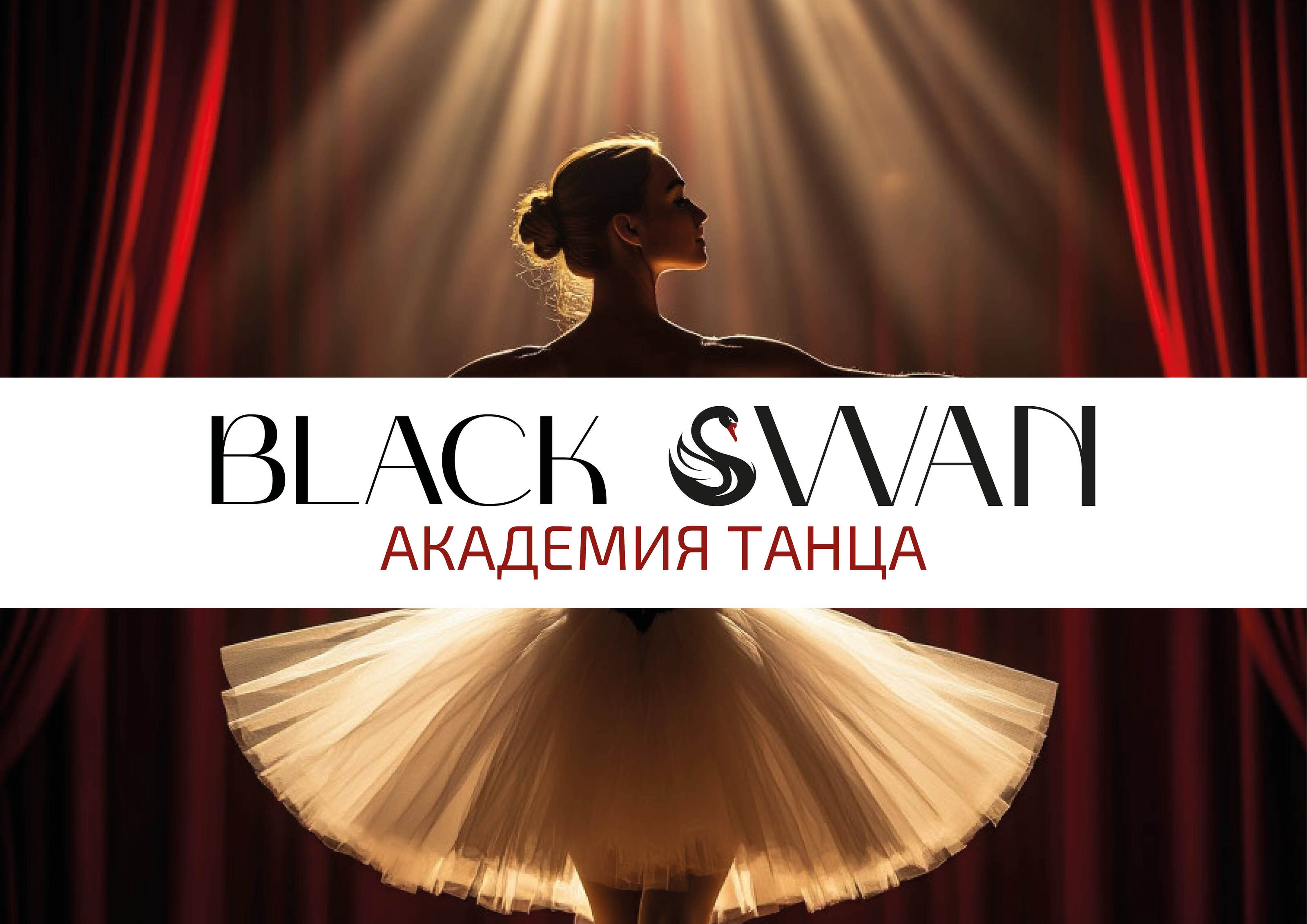 "BLACK SWAN" Академия танцев верстка брошюры — Изображение №16 — Брендинг, Графика на Dprofile