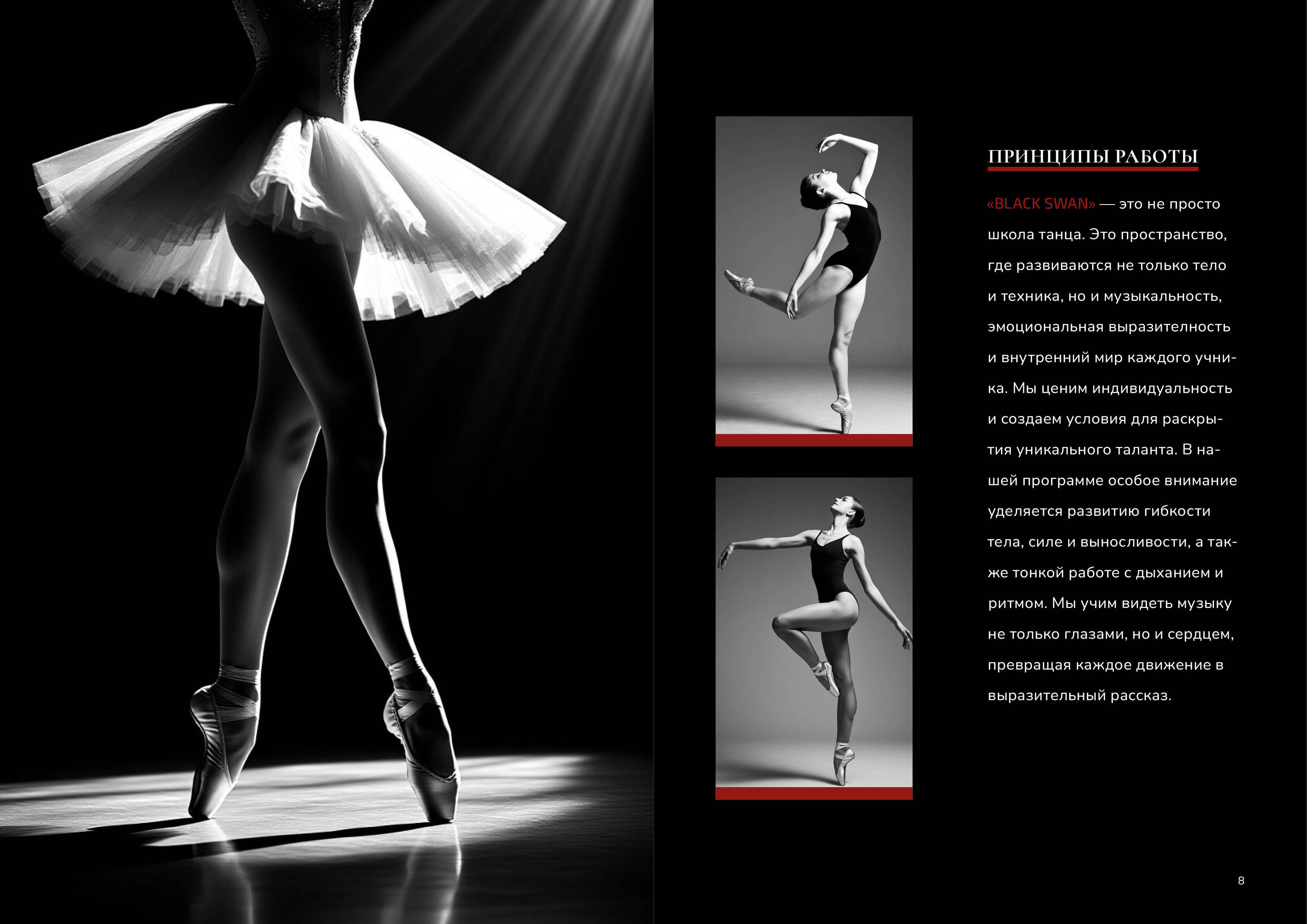 "BLACK SWAN" Академия танцев верстка брошюры — Изображение №4 — Брендинг, Графика на Dprofile