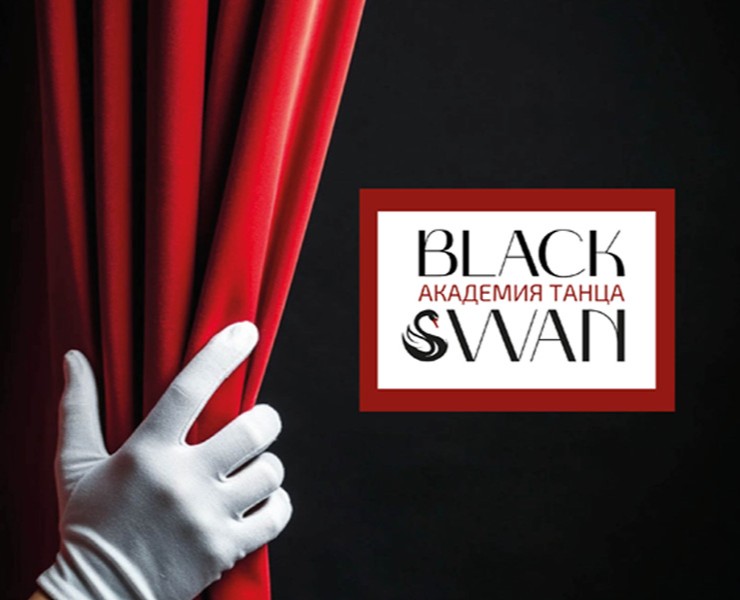 "BLACK SWAN" Академия танцев верстка брошюры на Dprofile