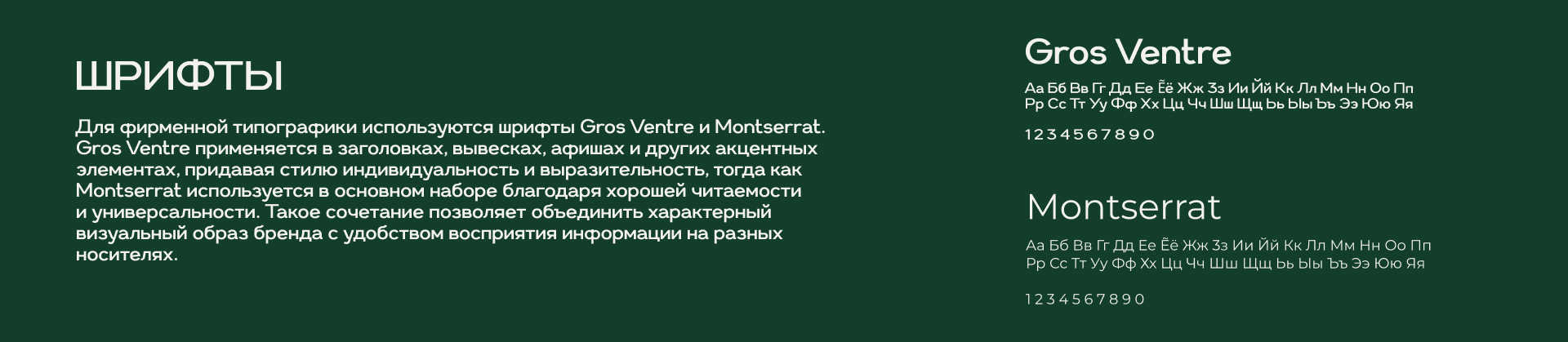КВК Государственный Дарвиновский музей — Изображение №6 — Брендинг на Dprofile