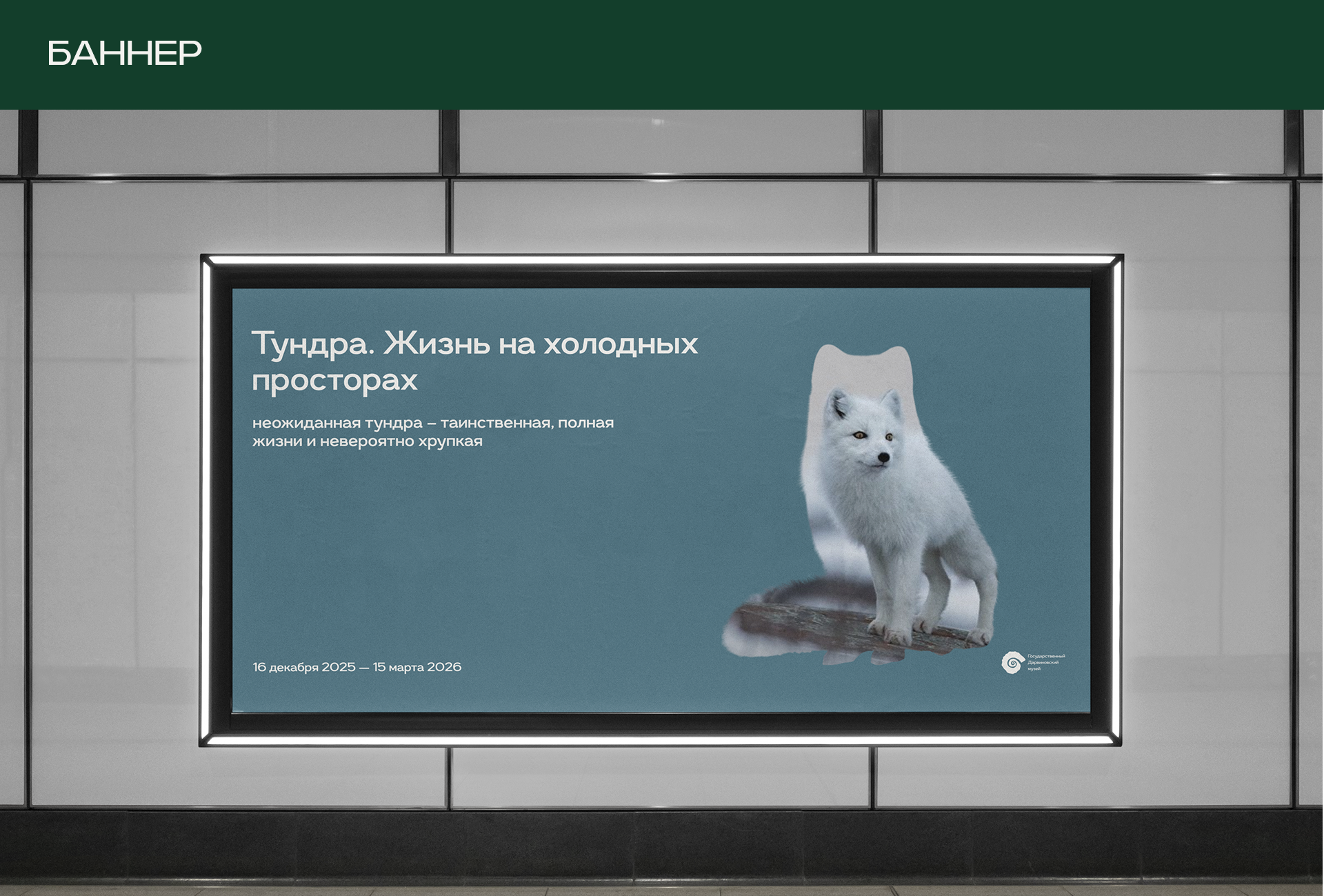КВК Государственный Дарвиновский музей — Изображение №9 — Брендинг на Dprofile