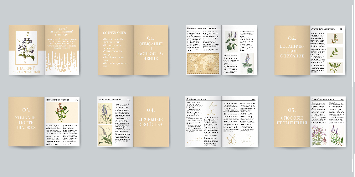 Портфолио 2025 — Изображение №19 — Графика на Dprofile