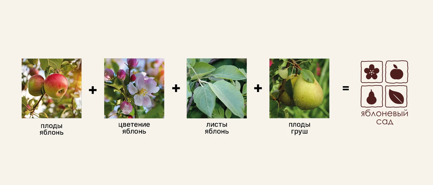 Территориальный брендинг для «Яблоневого сада» — Изображение №4 — Брендинг на Dprofile