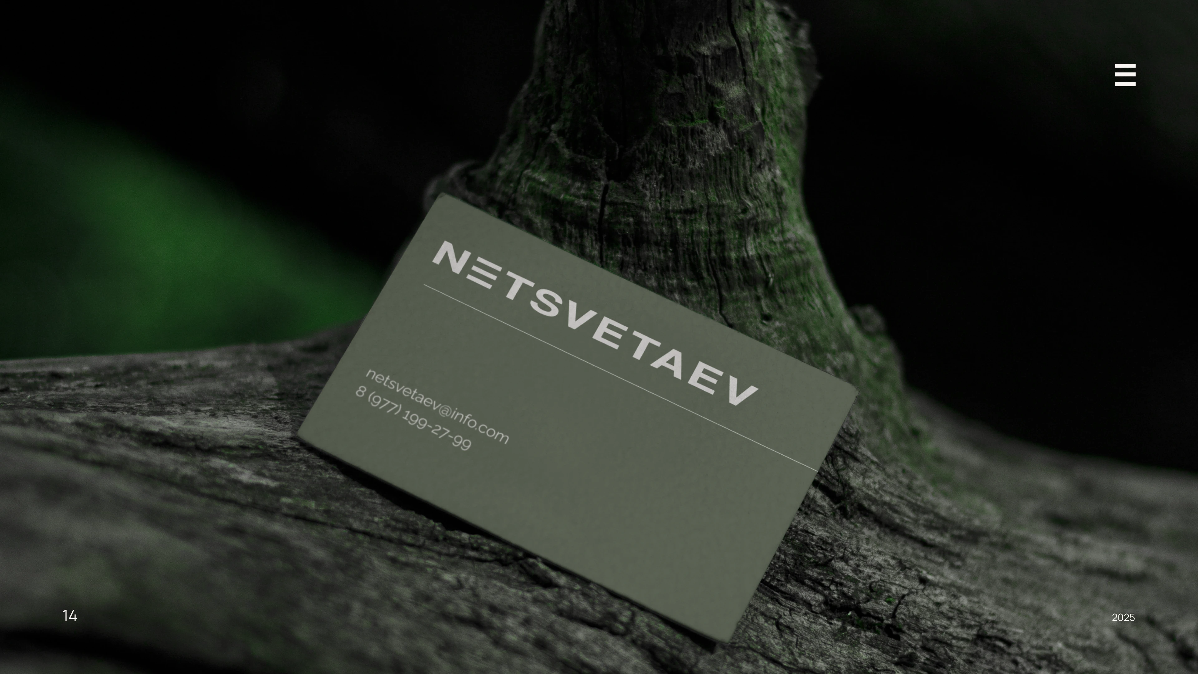 NETSVETAEV | Branding — Изображение №14 — Брендинг на Dprofile