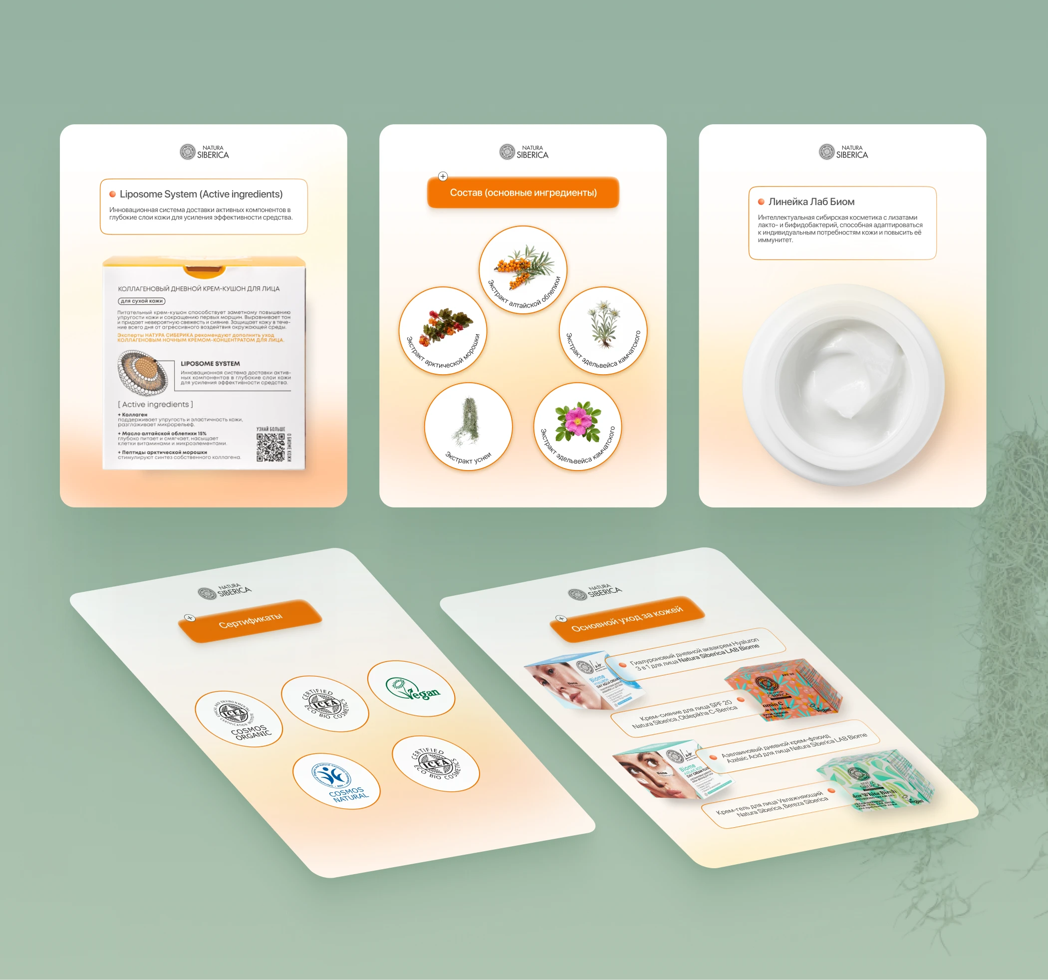 Product Cards (Concept) / Карточки товара Wildberries — Изображение №6 — Маркетинг на Dprofile