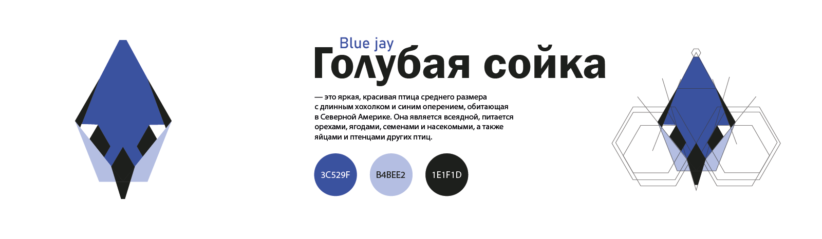 Серия пиктограмм для зоопарка — Изображение №6 — Графика на Dprofile