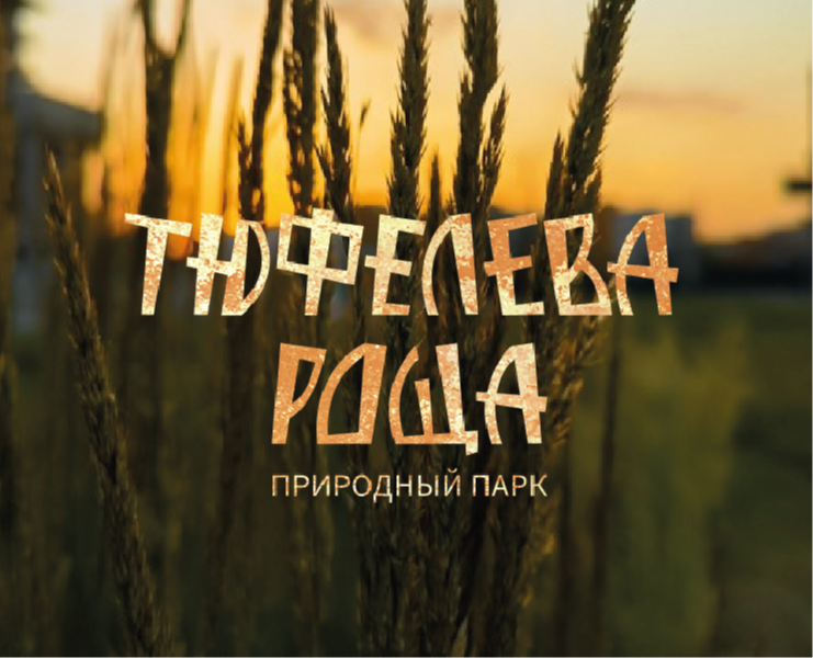 ТЮФЕЛЕВА РОЩА: навигация на Dprofile