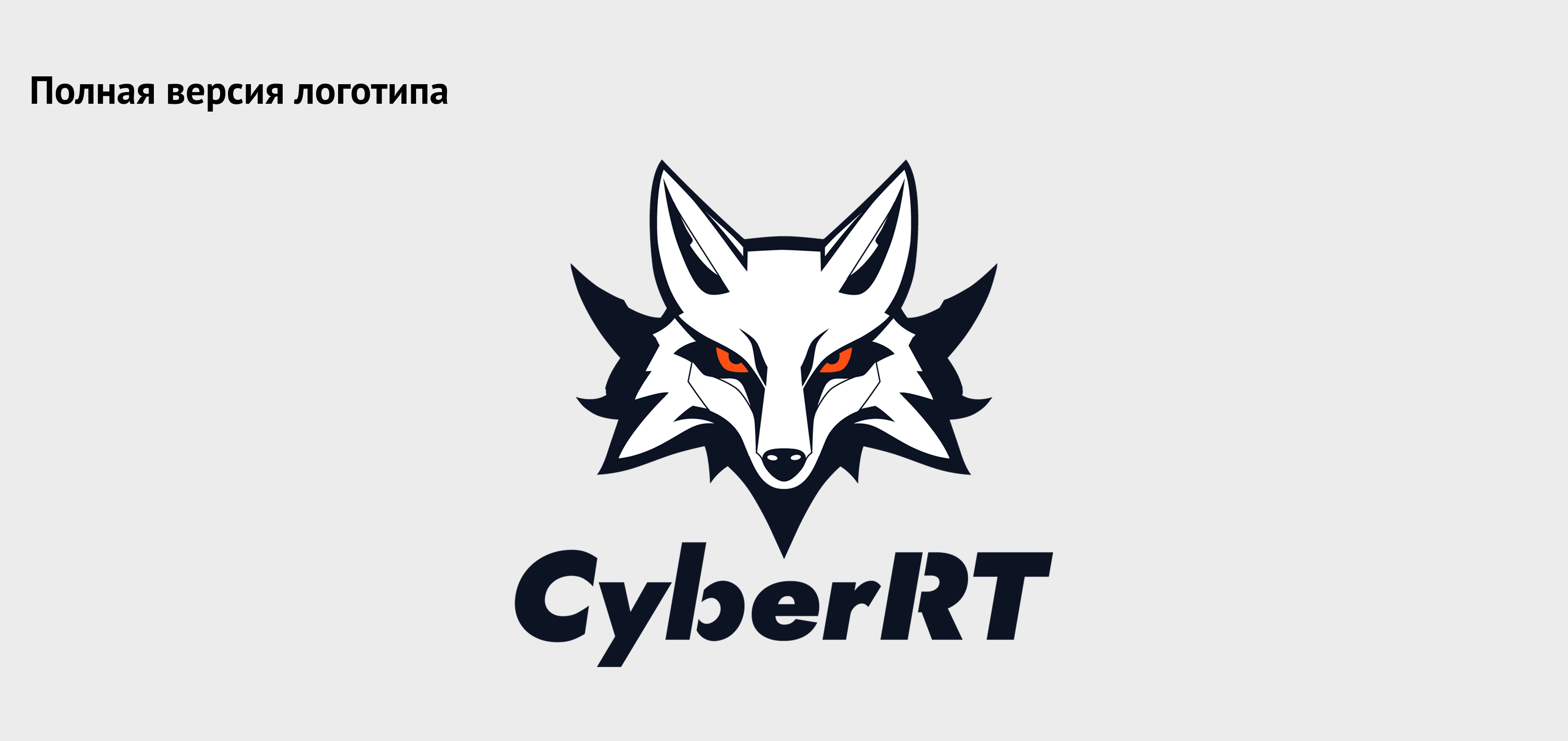 Айдентика для киберспортивной команды CyberRT — Изображение №4 — Брендинг на Dprofile