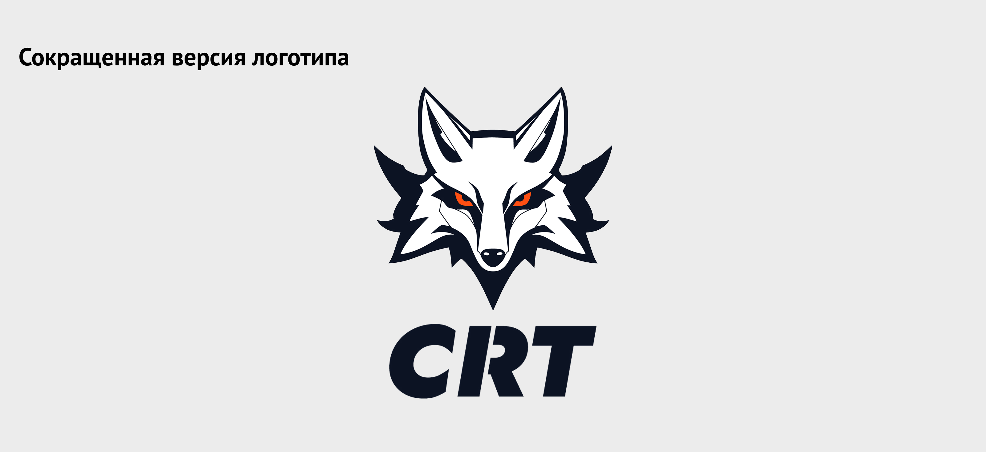 Айдентика для киберспортивной команды CyberRT — Изображение №5 — Брендинг на Dprofile