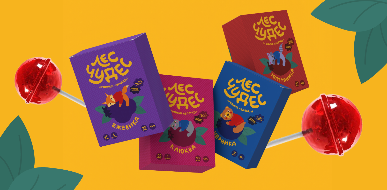 Продуктовый брендинг «Лес чудес» — Изображение №1 — Интерфейсы, Брендинг на Dprofile