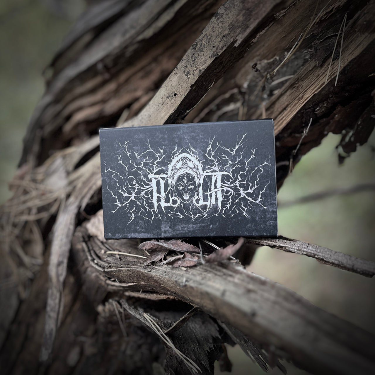 Музыкальная группа ILLA — Изображение №9 — Брендинг, Иллюстрация на Dprofile