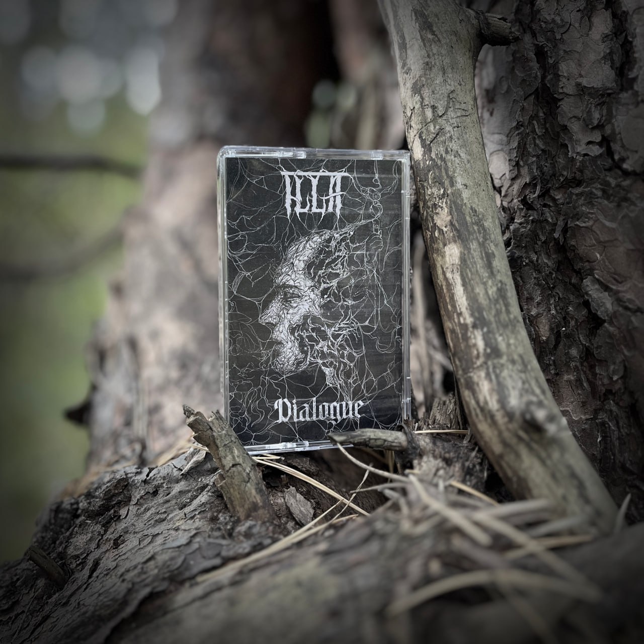 Музыкальная группа ILLA — Изображение №10 — Брендинг, Иллюстрация на Dprofile