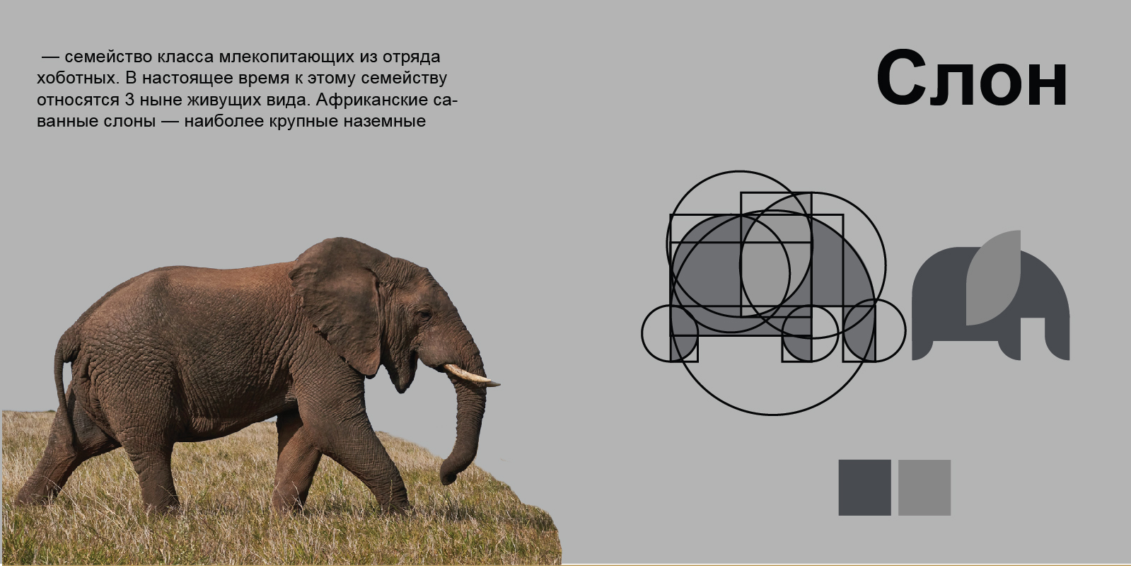 Серия пиктограмм — Изображение №4 — Графика на Dprofile
